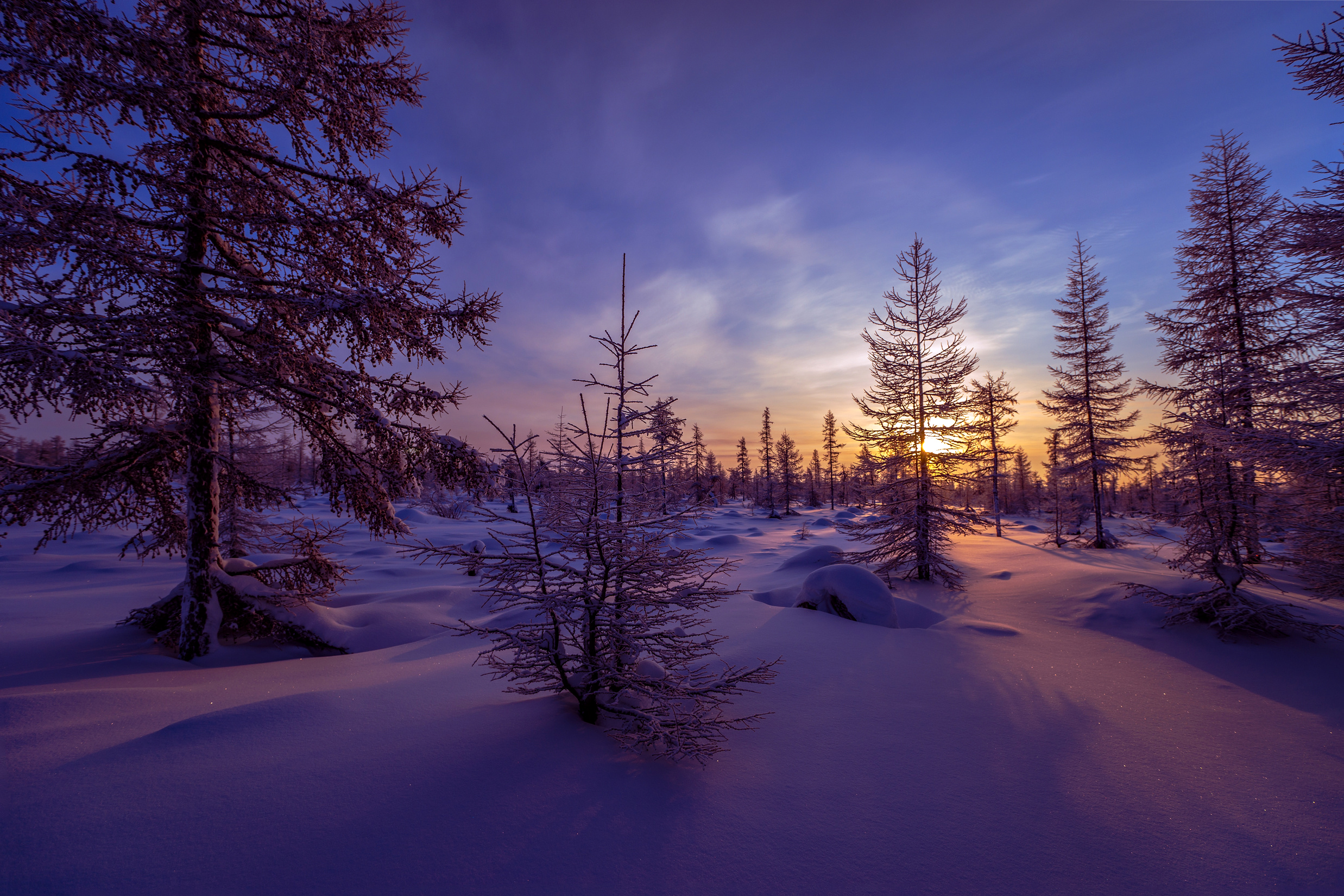 Laden Sie das Winter, Schnee, Baum, Sonnenuntergang, Erde/natur-Bild kostenlos auf Ihren PC-Desktop herunter