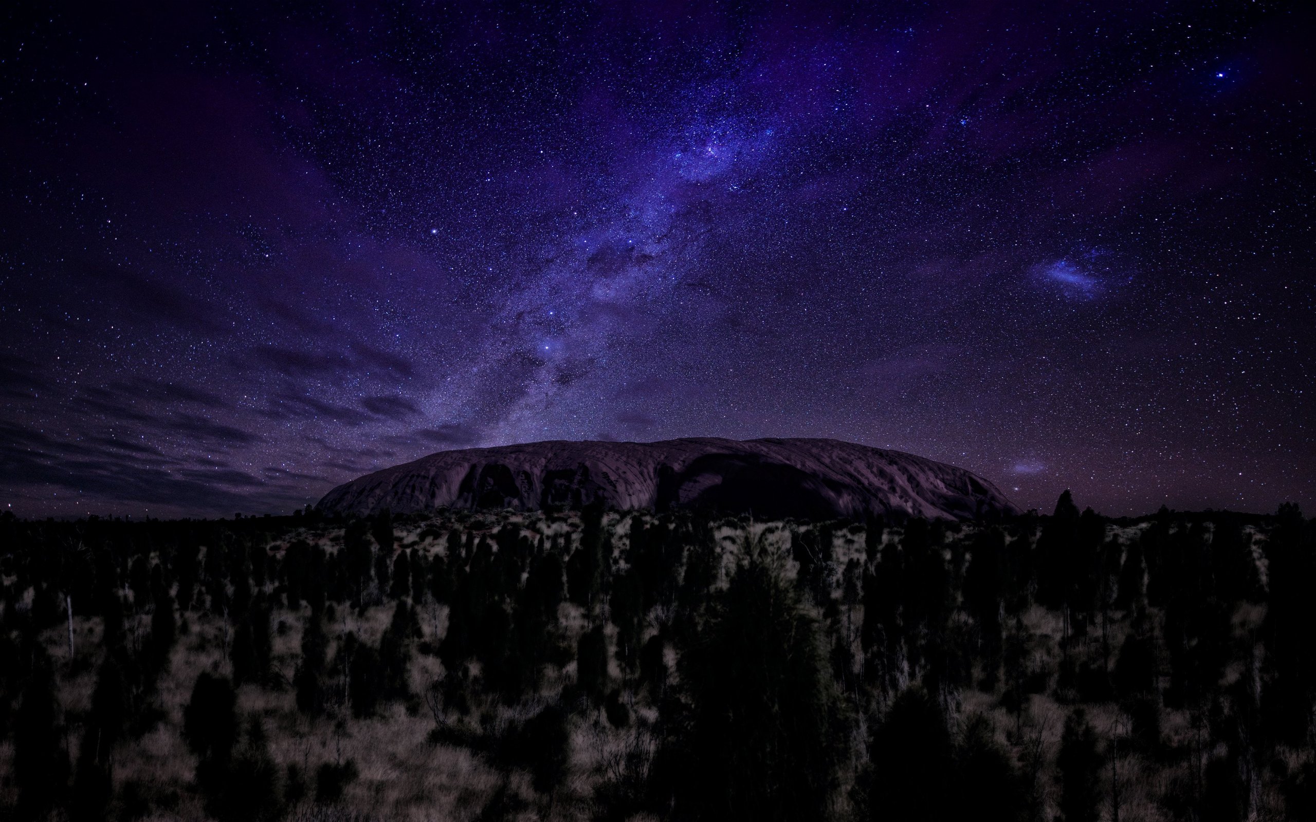 uluru, earth, australia, ayers rock, forest, night, starry sky, tree, winter