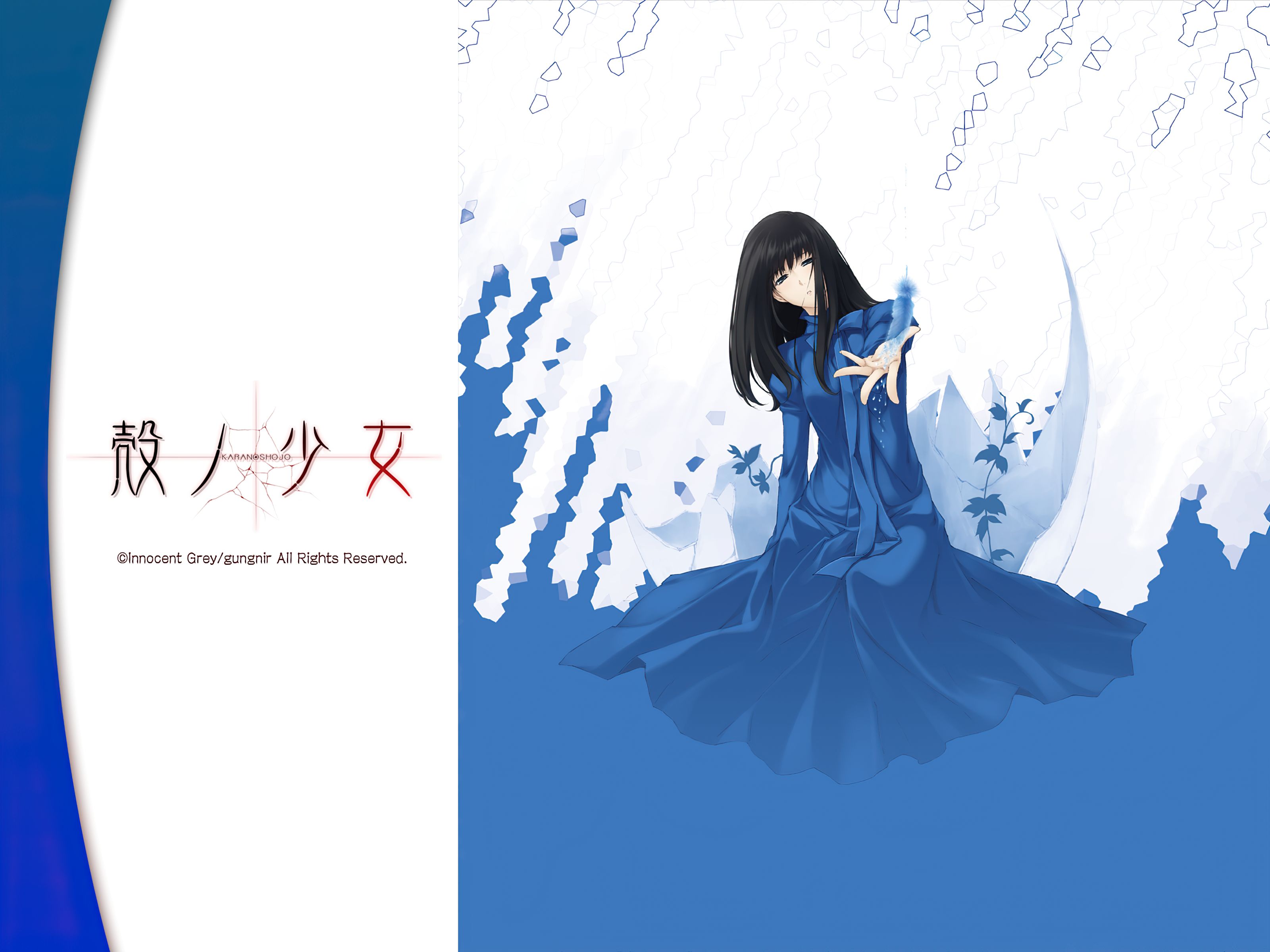 802592 Hintergrundbild herunterladen animes, kara no shōjo - Bildschirmschoner und Bilder kostenlos