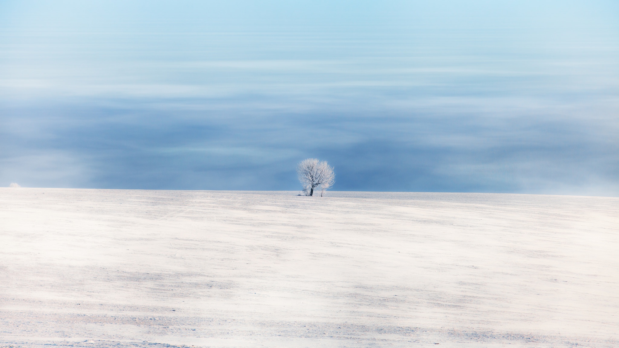 PCデスクトップに冬, 自然, 雪, 地平線, 地球, 空, ミニマリスト, 孤独な木画像を無料でダウンロード