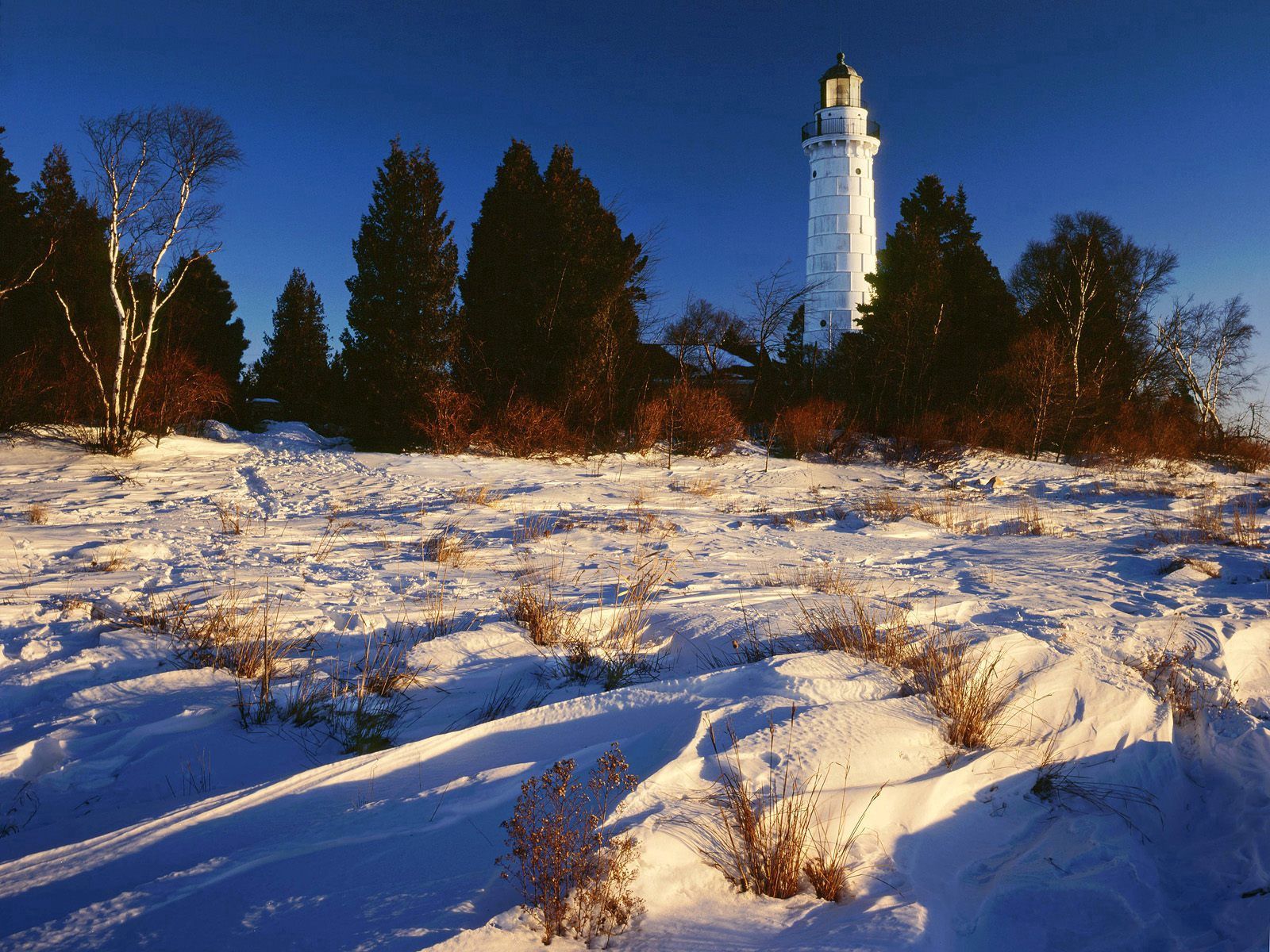 Free download wallpaper Trees, Snow, Lighthouse, Lake Michigan, Nature on your PC desktop