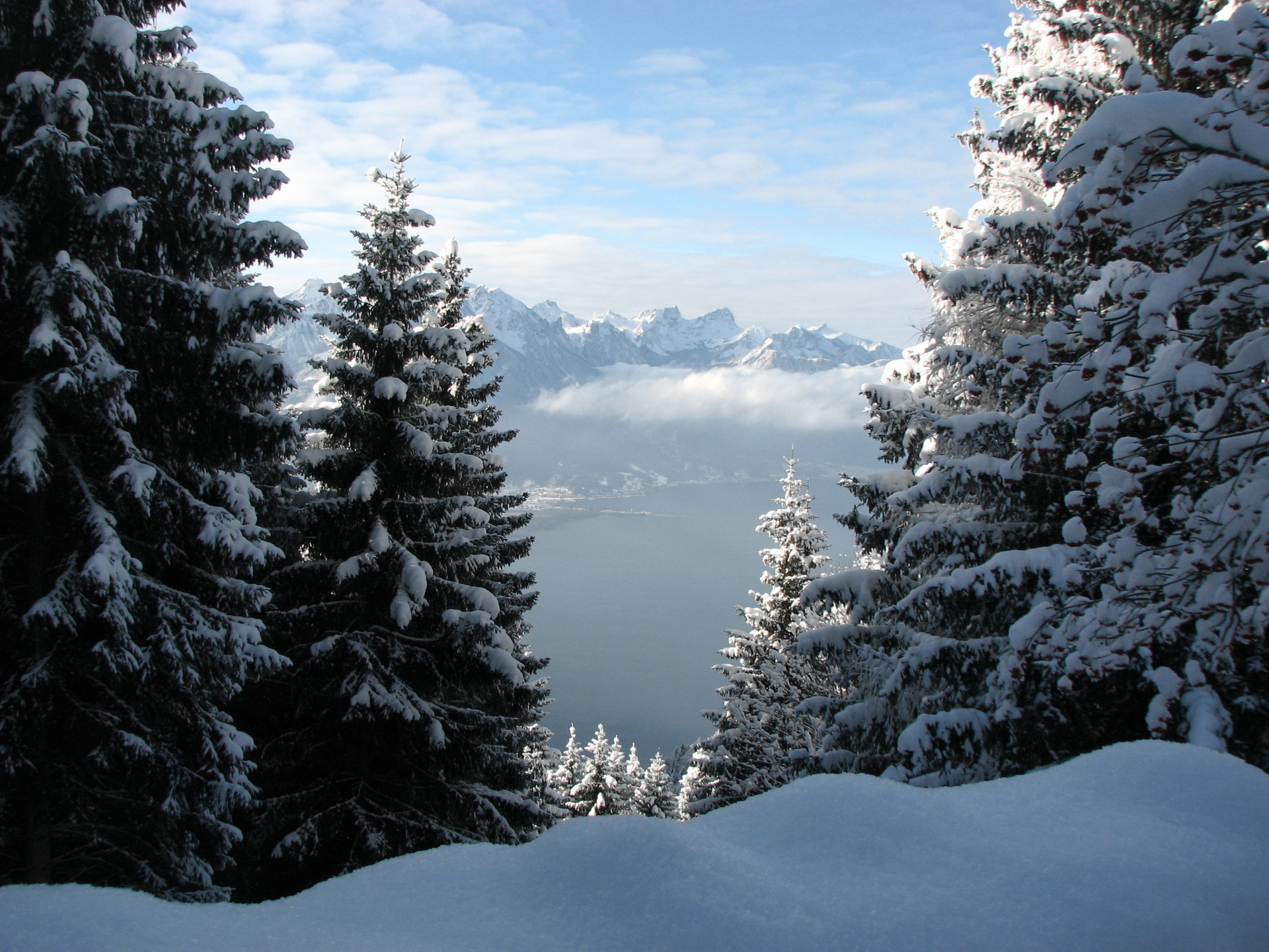 Download mobile wallpaper Winter, Snow, Mountain, Lake, Forest, Tree, Earth for free.