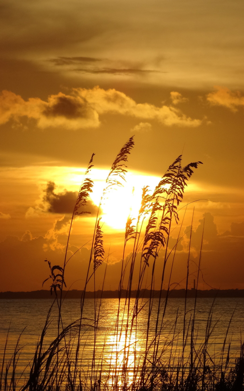 Handy-Wallpaper Sonnenuntergang, Erde/natur kostenlos herunterladen.