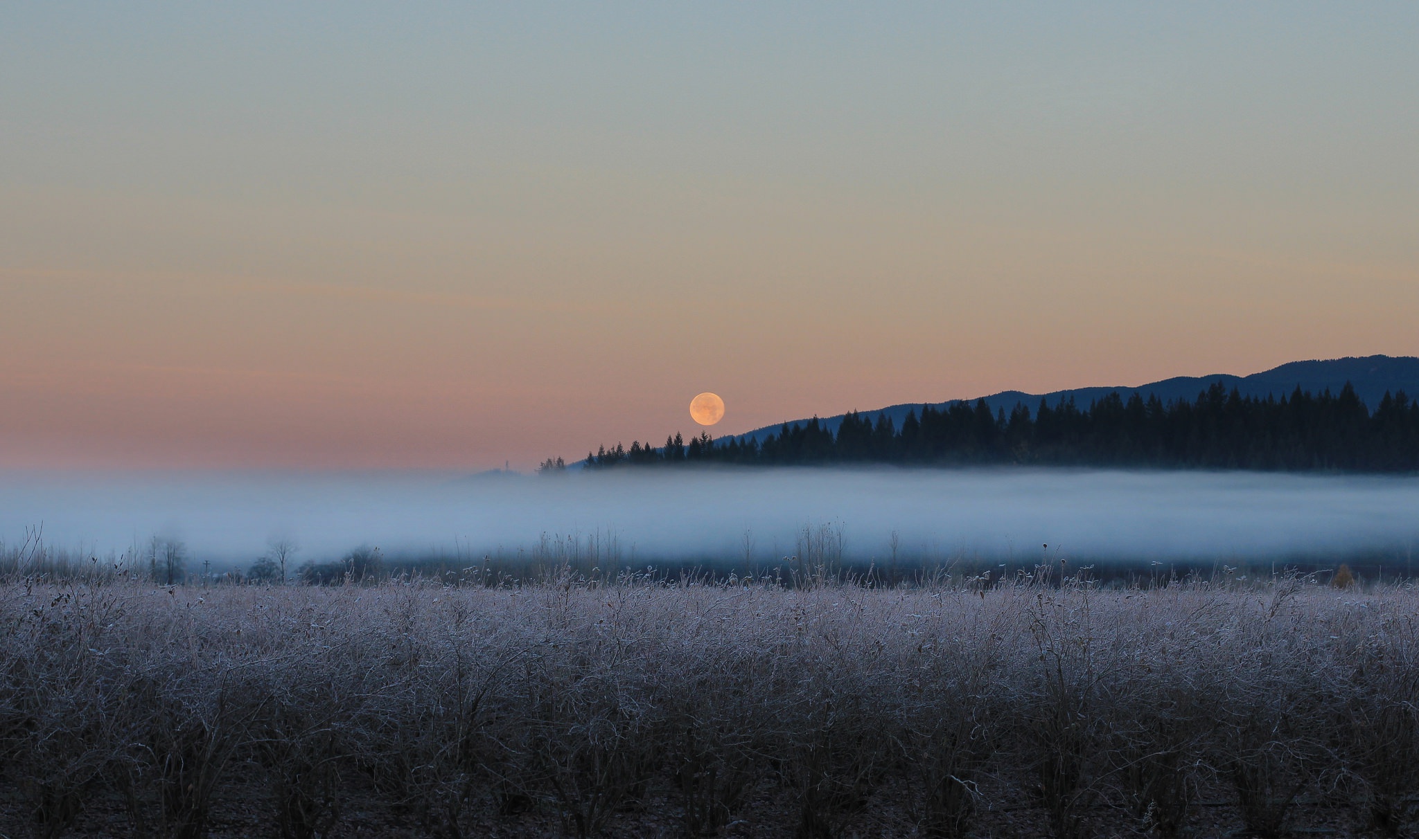 Free download wallpaper Nature, Moon, Fog, Earth, Field on your PC desktop