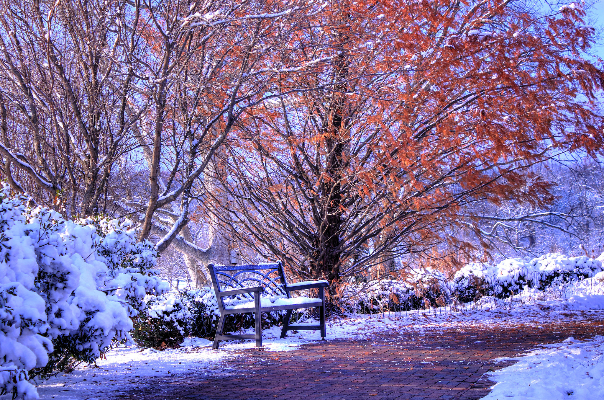 Скачать обои бесплатно Осень, Снег, Дерево, Скамья, Сделано Человеком картинка на рабочий стол ПК