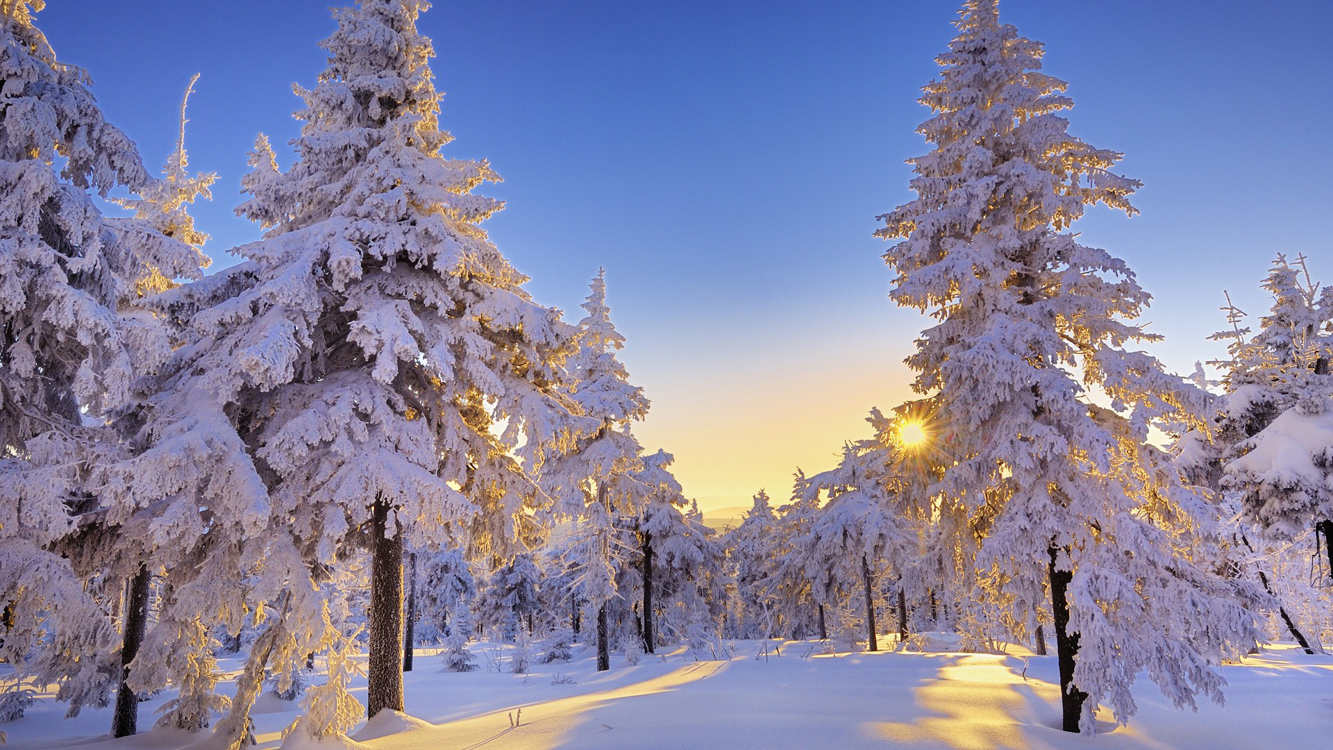 Téléchargez gratuitement l'image Hiver, Terre/nature sur le bureau de votre PC