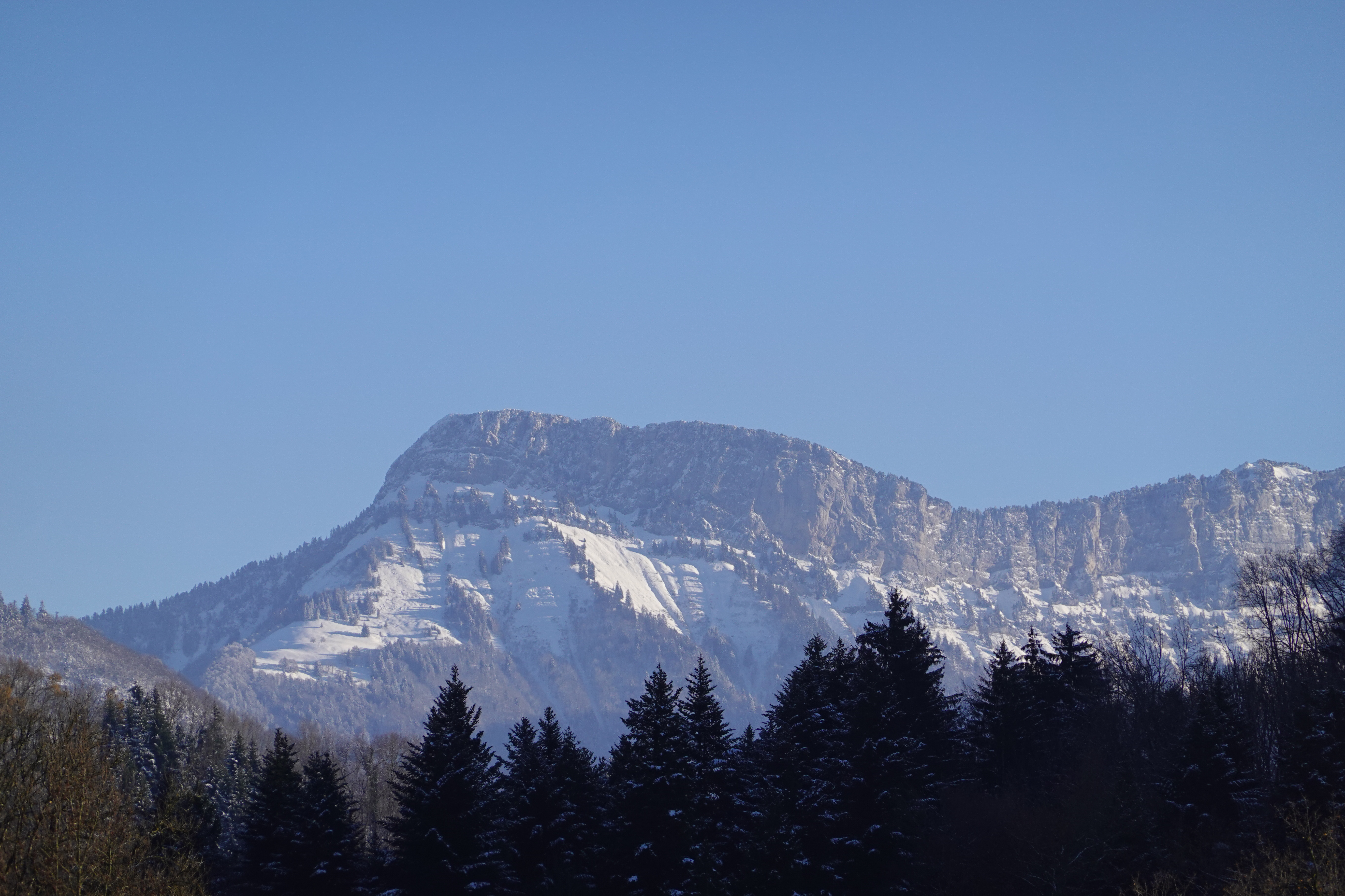 PCデスクトップに自然, 雪, 木, 山, 風景画像を無料でダウンロード