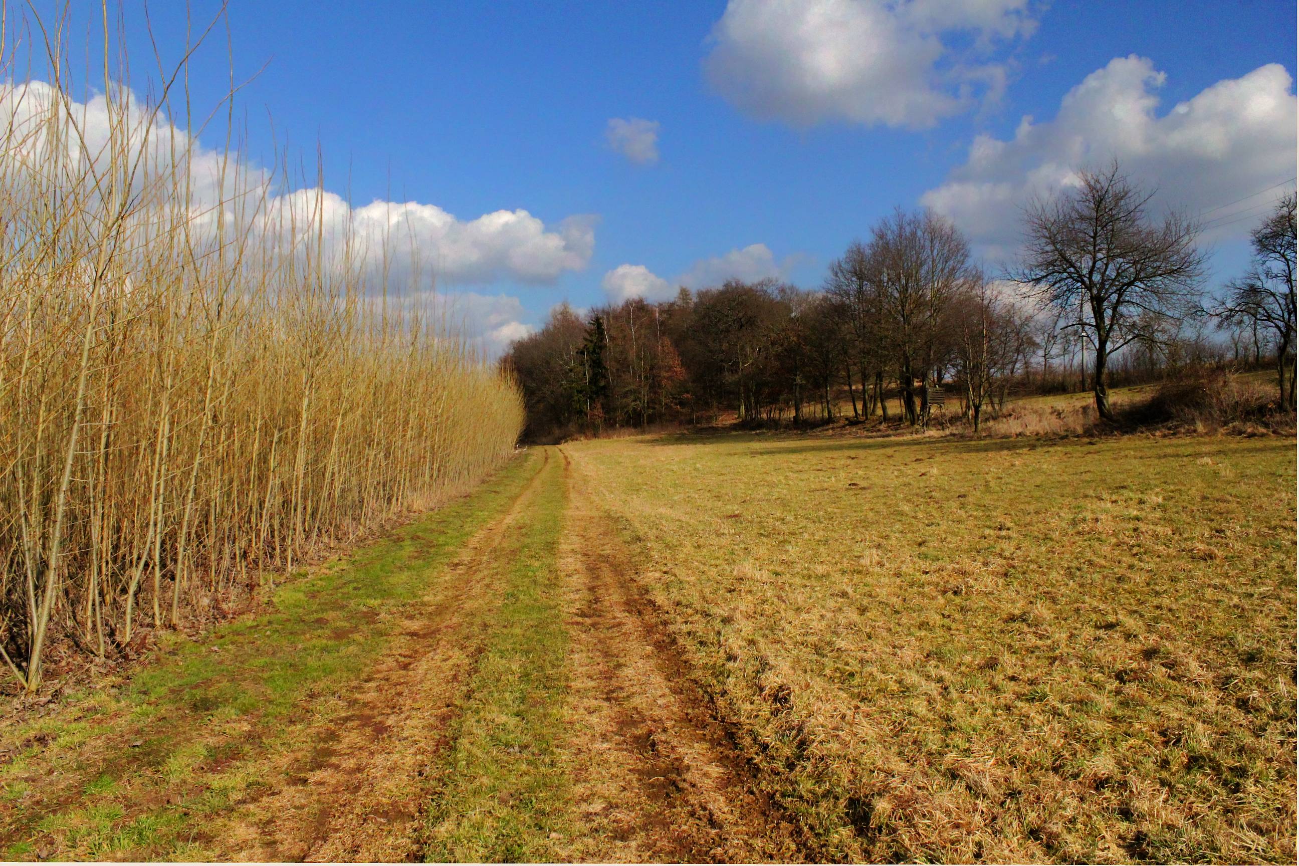 Téléchargez des papiers peints mobile Chemin, Terre/nature gratuitement.