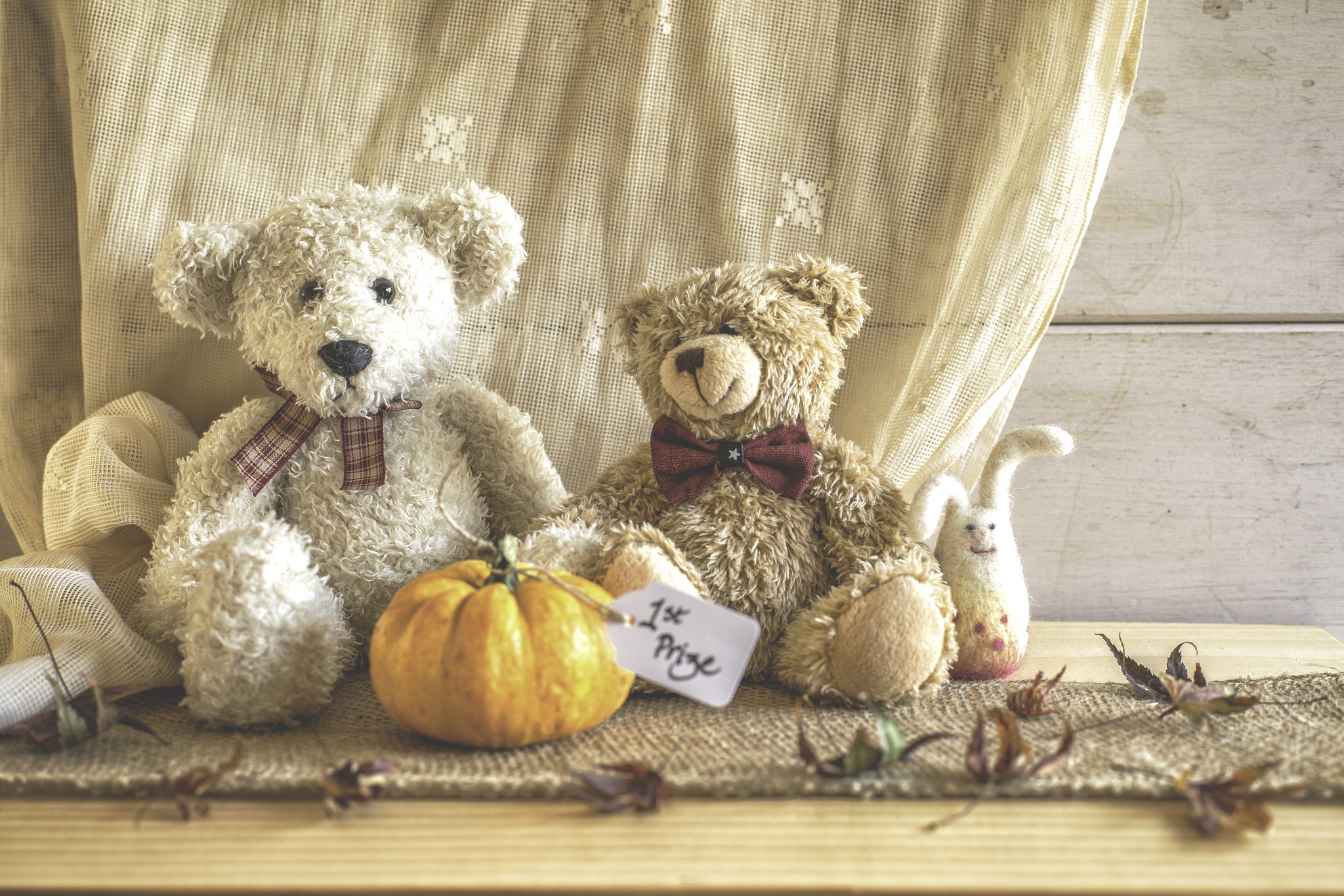Free download wallpaper Teddy Bear, Man Made, Stuffed Animal on your PC desktop