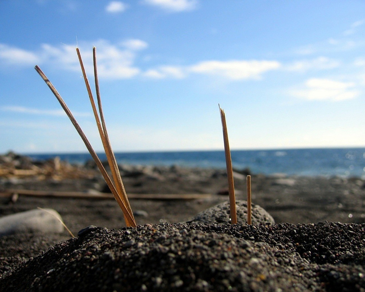 Laden Sie das Strand, Erde/natur-Bild kostenlos auf Ihren PC-Desktop herunter