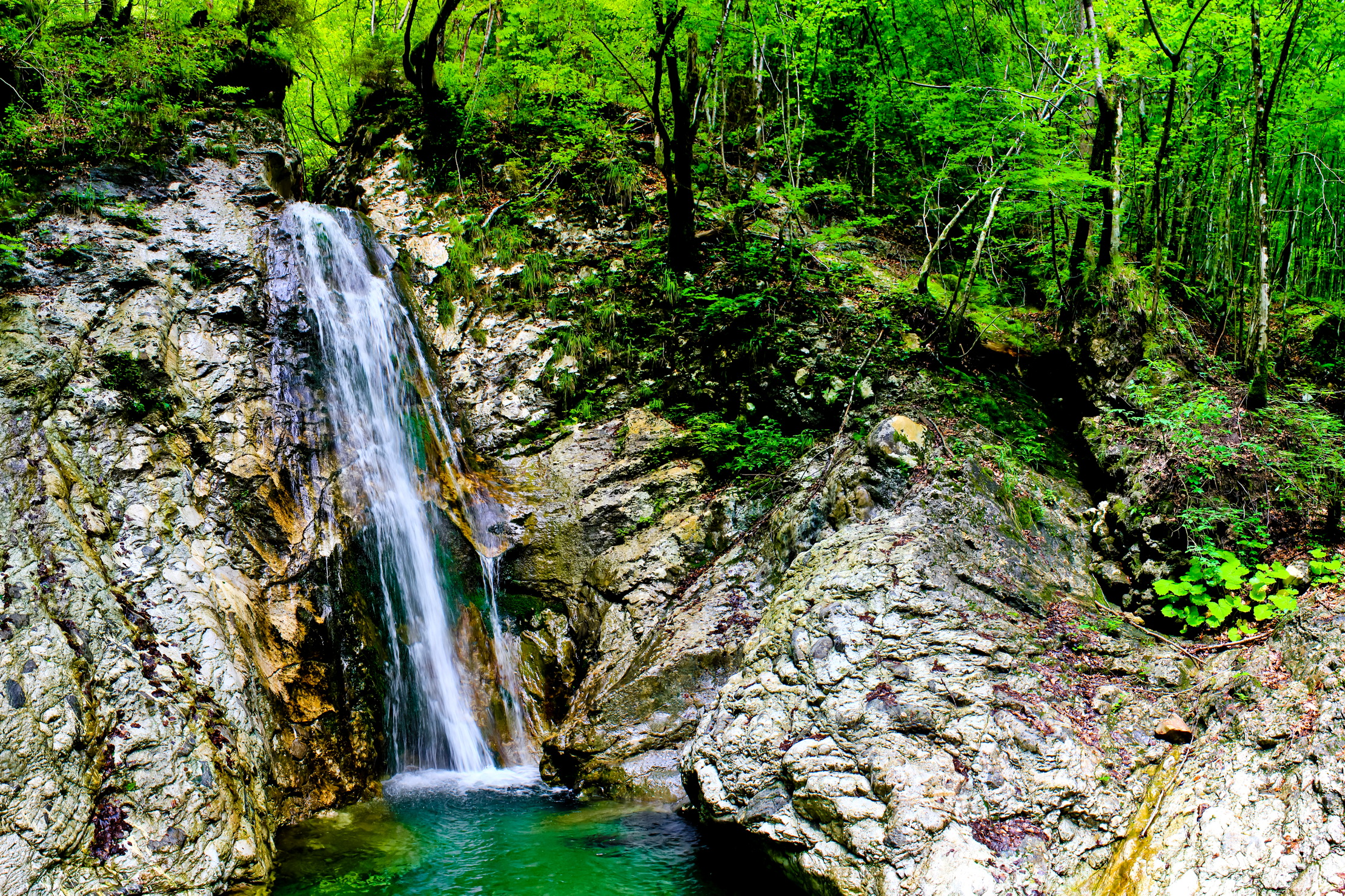 Free download wallpaper Landscape, Waterfalls, Waterfall, Forest, Earth, Scenic on your PC desktop
