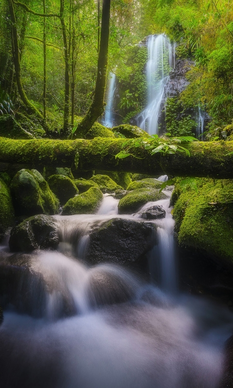 Download mobile wallpaper Nature, Waterfall, Earth, Moss, Stream for free.