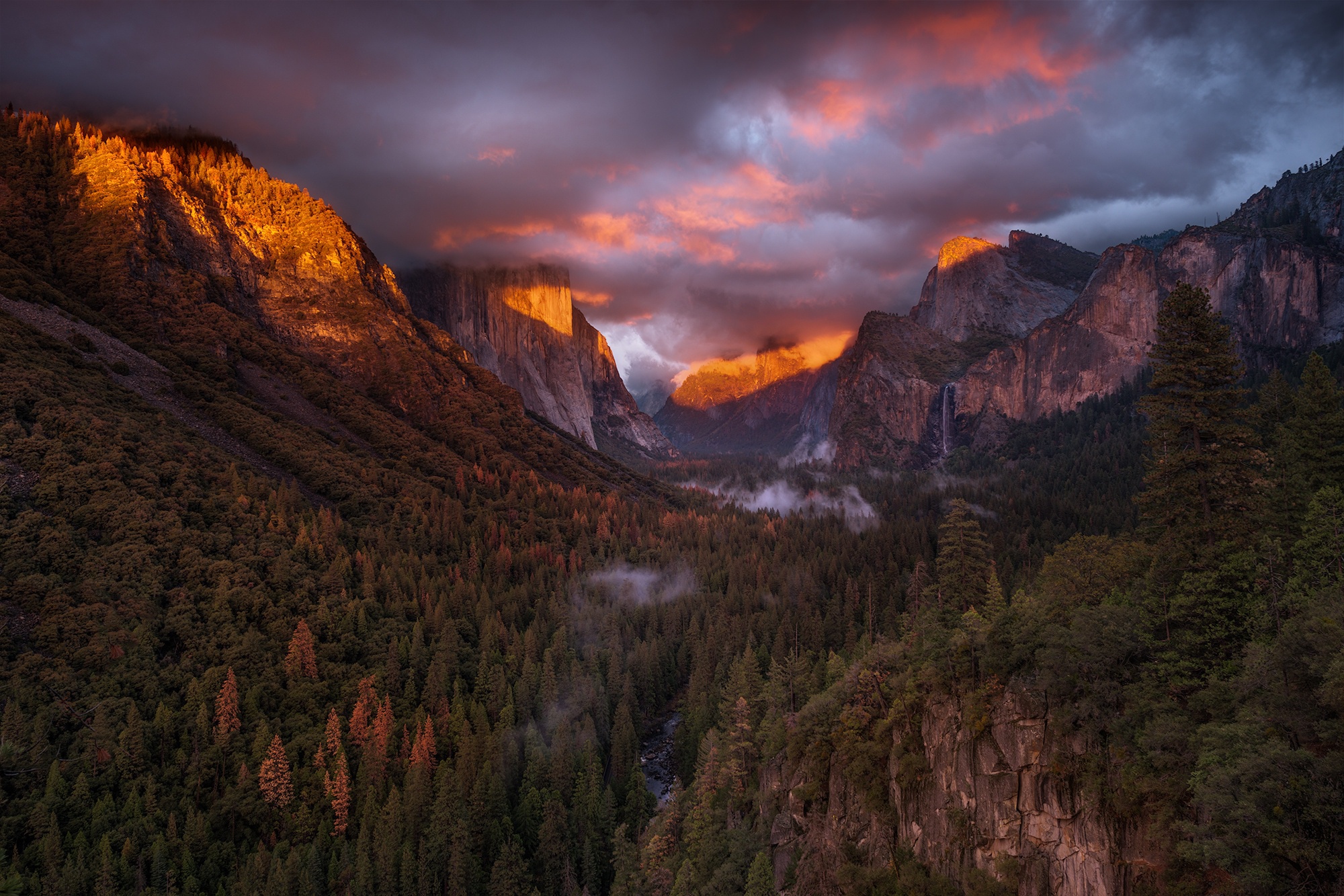 395115 Bild herunterladen natur, kalifornien, erde/natur, yosemite nationalpark, klippe, wald, landschaft, gebirge, tal, nationalpark - Hintergrundbilder und Bildschirmschoner kostenlos