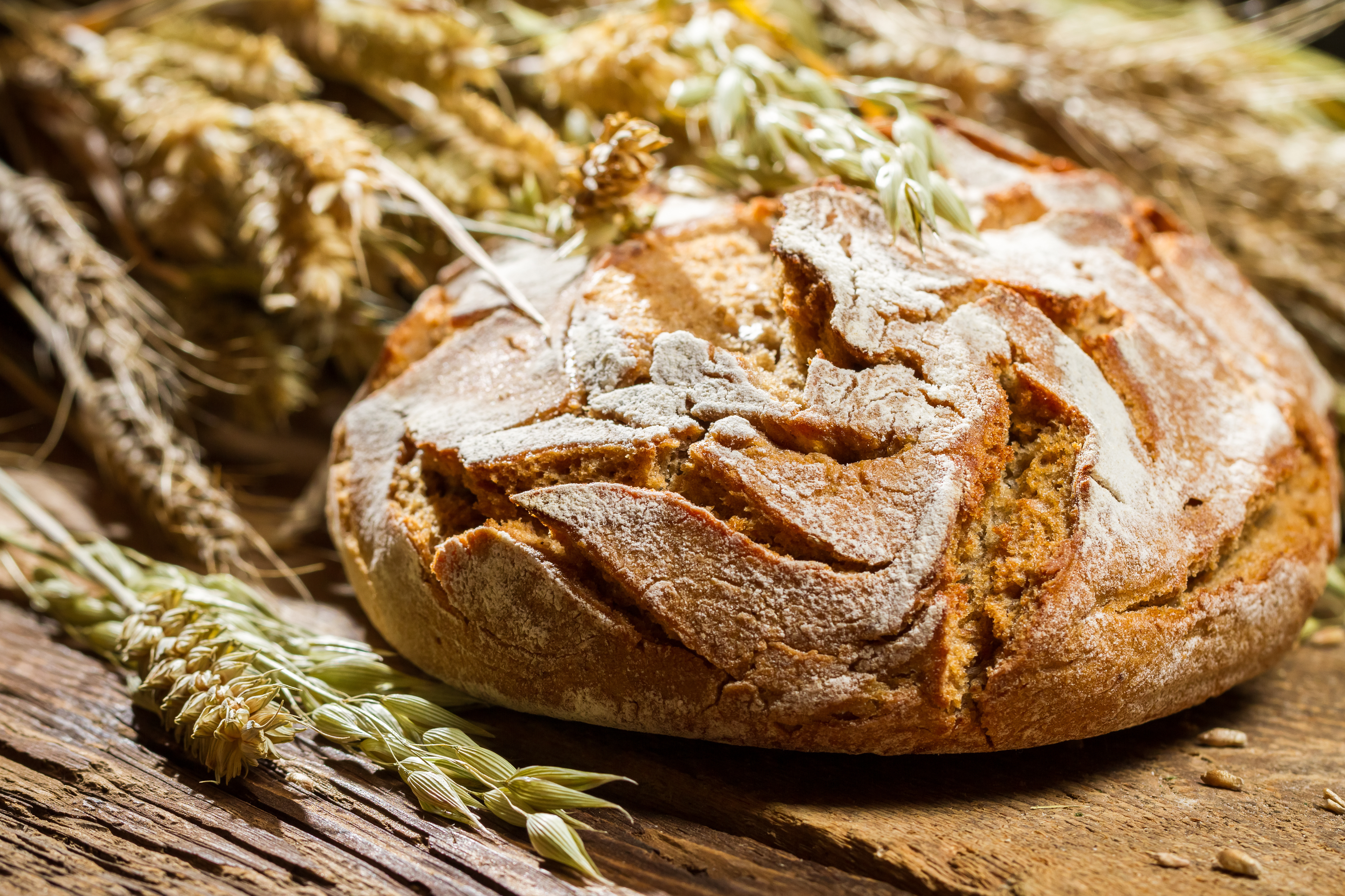 Download mobile wallpaper Bread, Food for free.