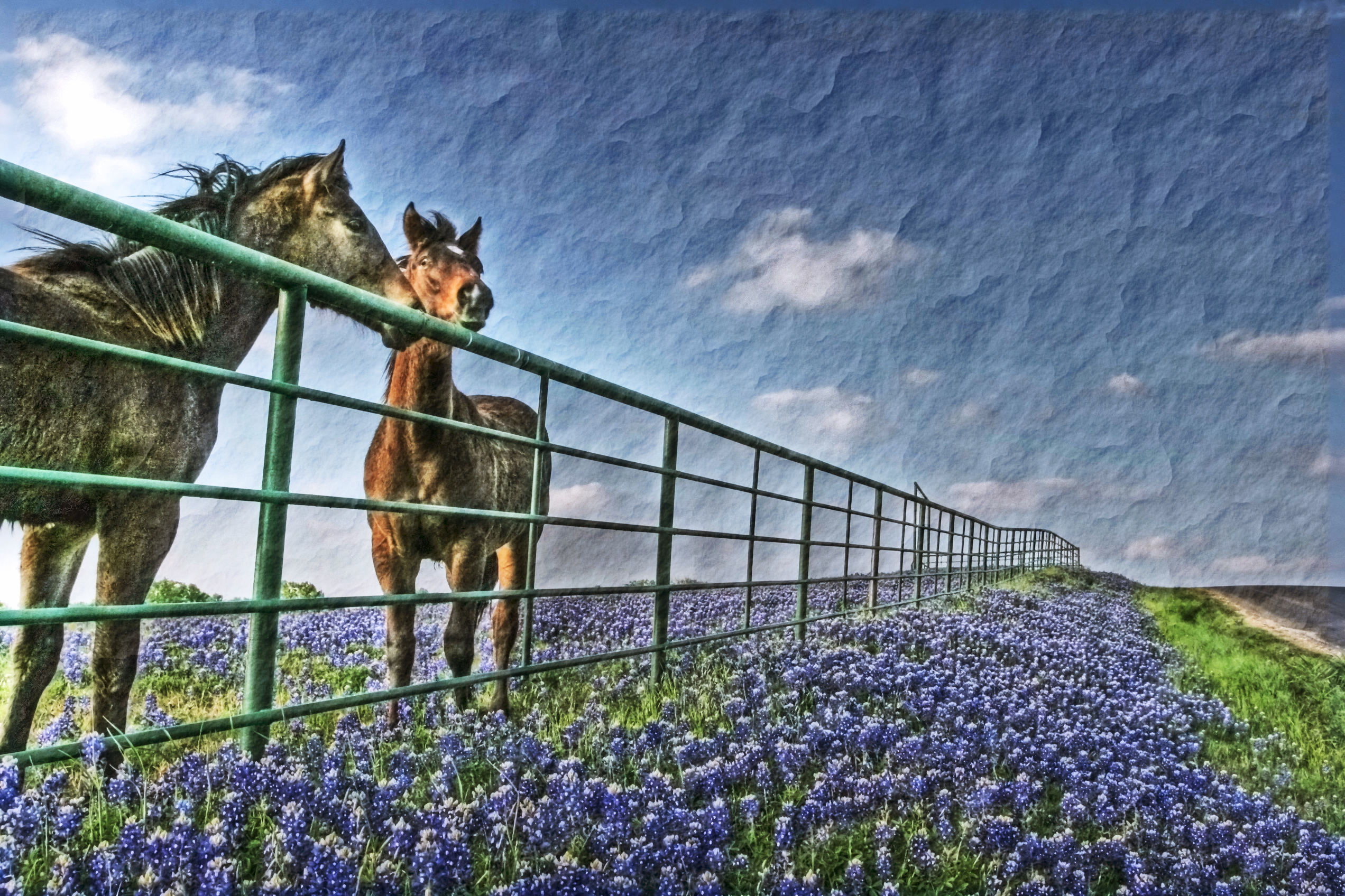 Download mobile wallpaper Flower, Fence, Animal, Painting, Horse, Purple Flower for free.