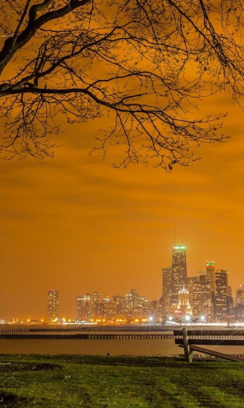 Download mobile wallpaper Cities, Night, Usa, City, Tree, Chicago, Man Made for free.