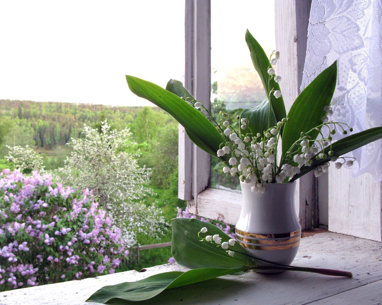 flowers, lilac, lily of the valley, window, vase, window sill, windowsill, spring