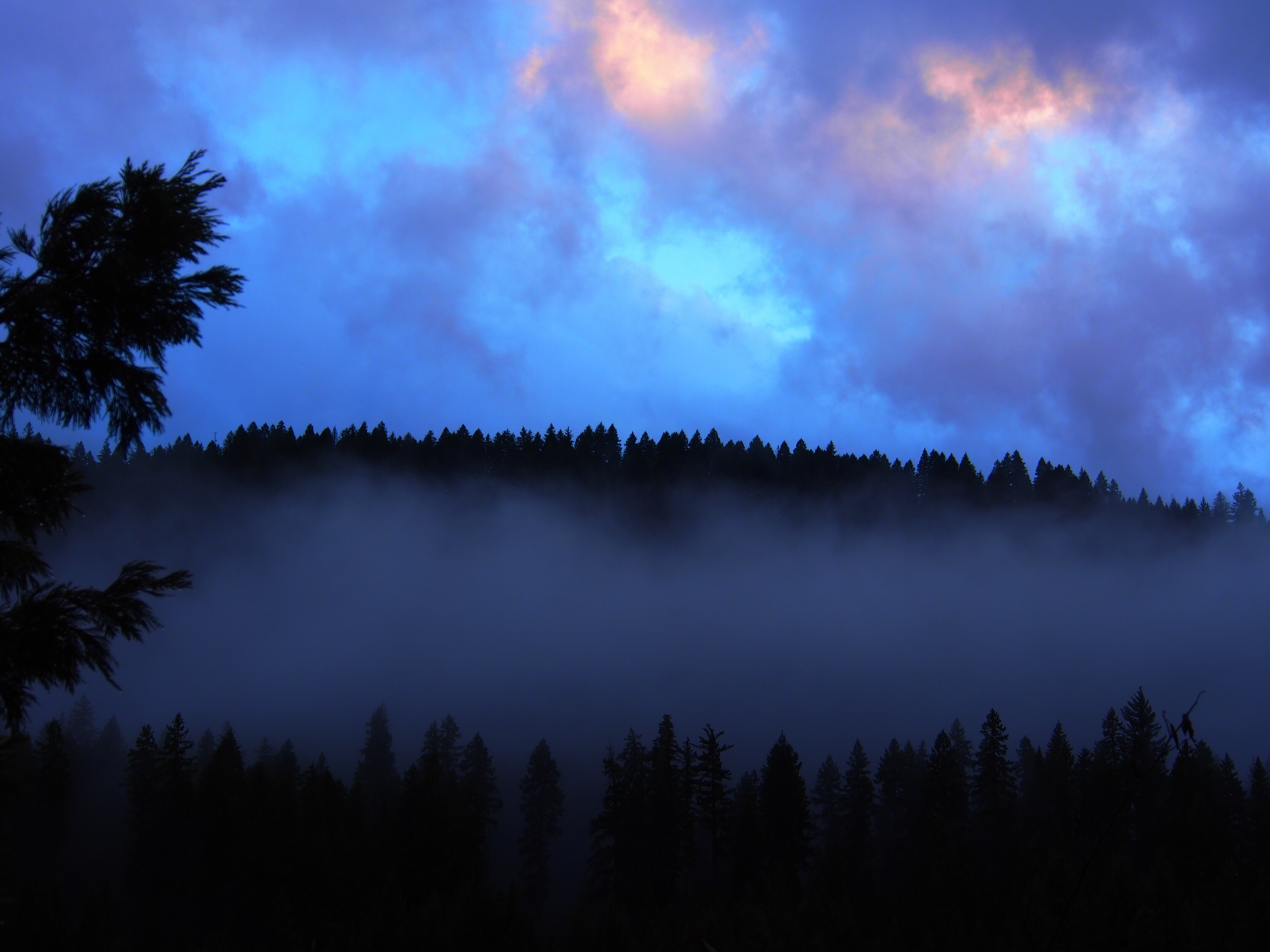 Handy-Wallpaper Wald, Twilight, Dämmerung, Clouds, Nebel, Natur kostenlos herunterladen.
