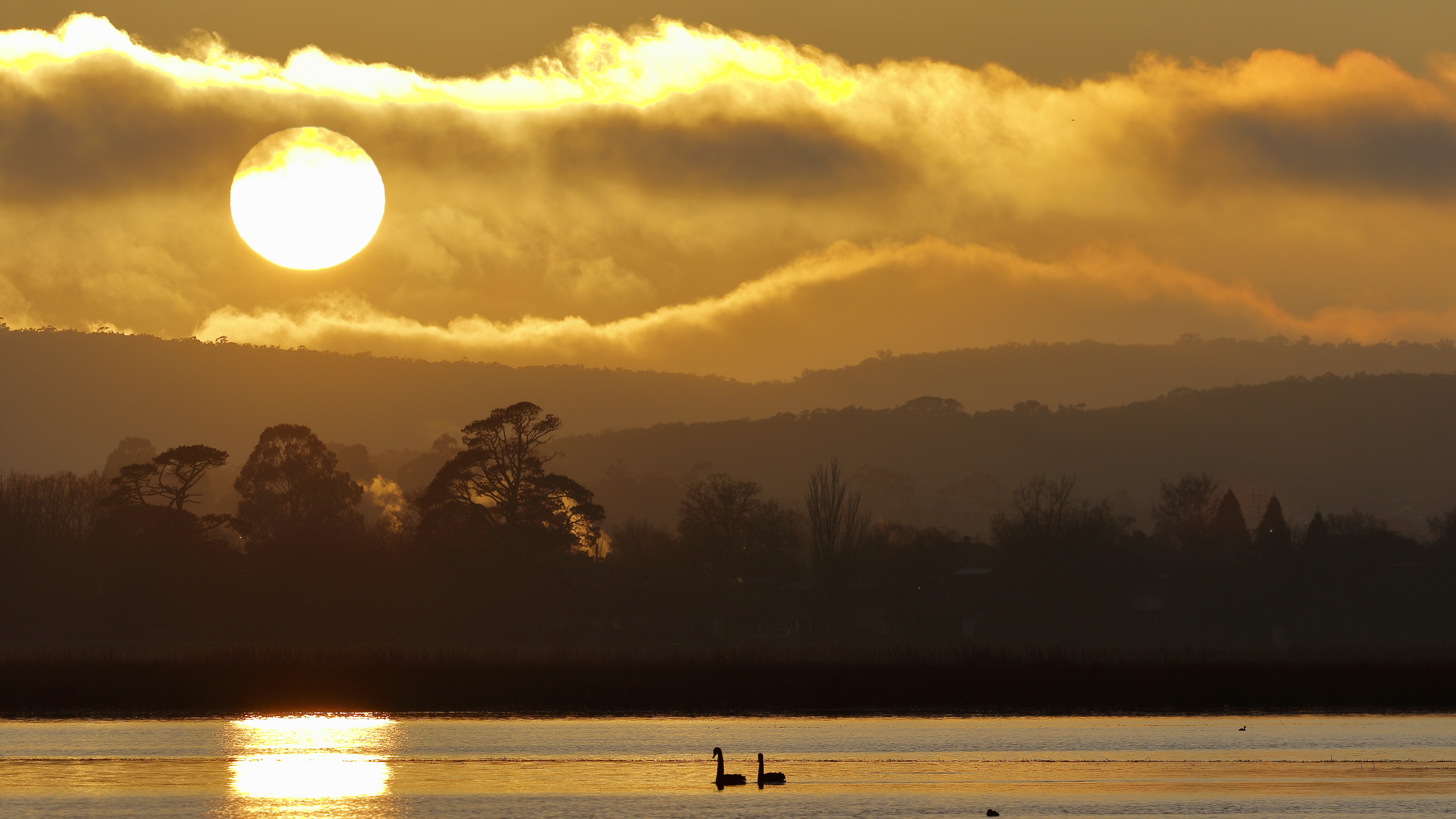Free download wallpaper Birds, Trees, Sunset, Sky, Swans, Lake, Nature on your PC desktop