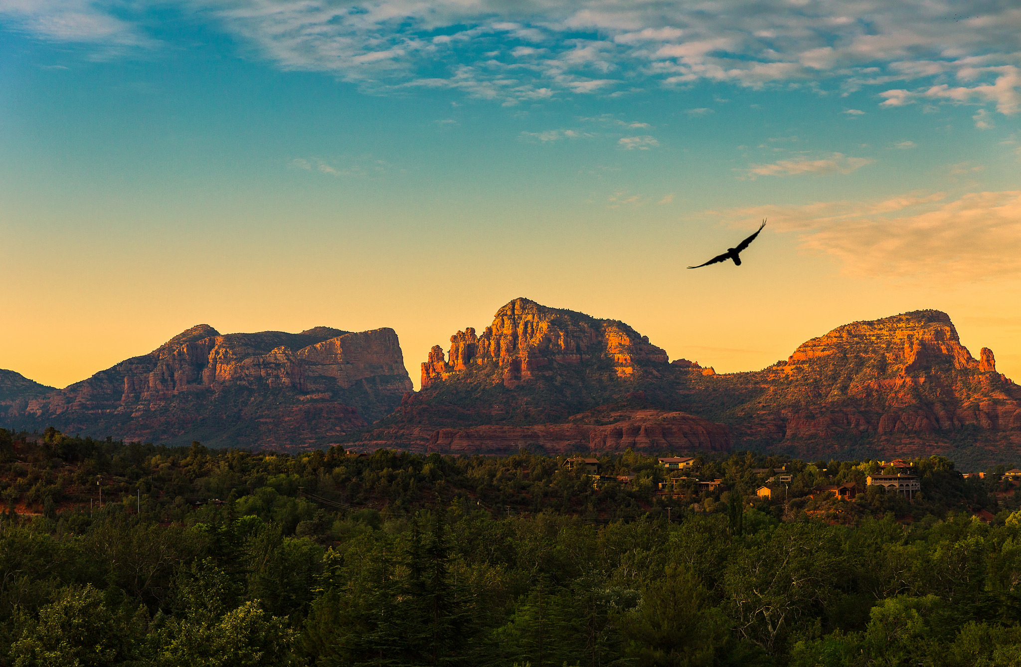 Free download wallpaper Landscape, Mountain, Bird, Forest, Photography, Arizona on your PC desktop