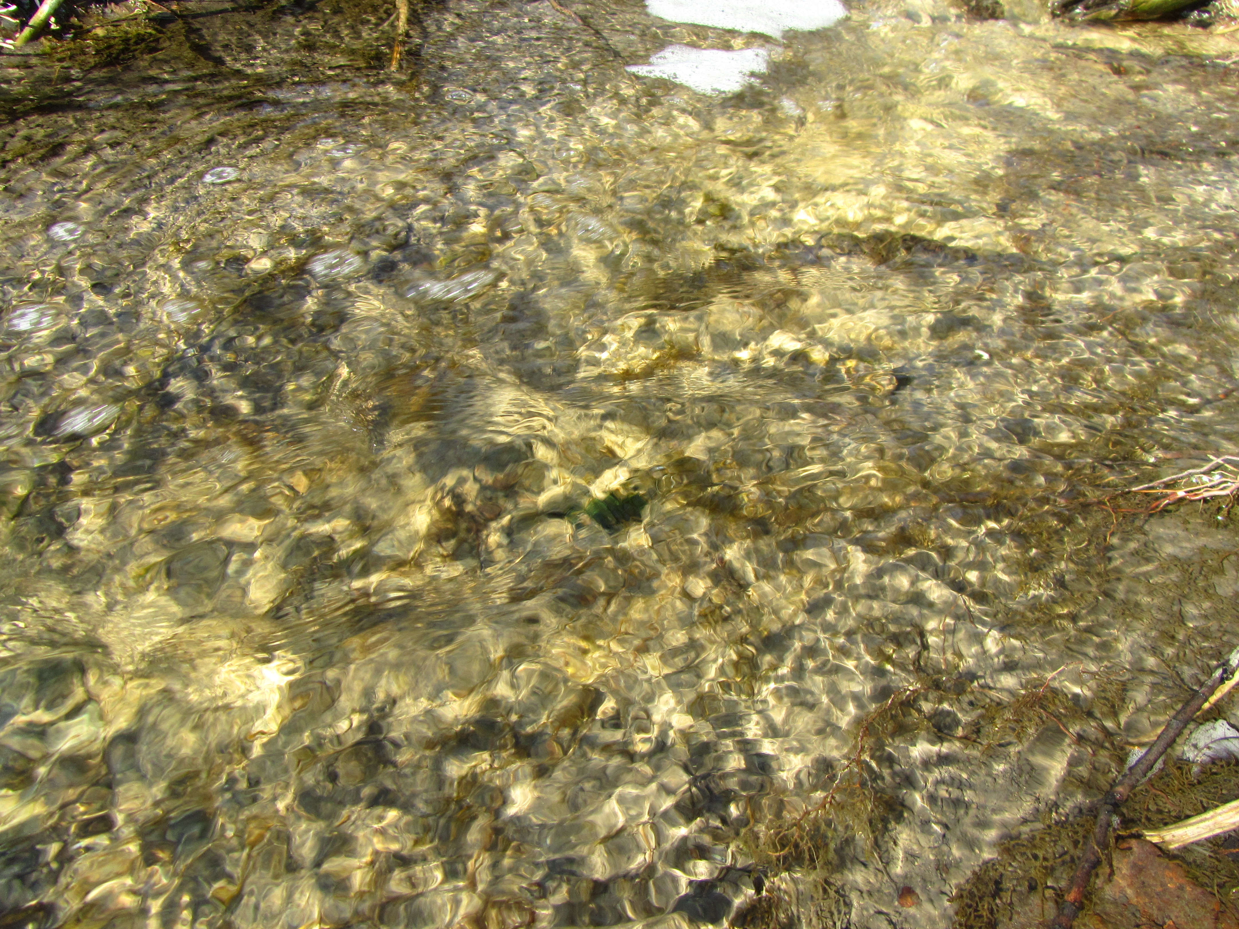 Скачати мобільні шпалери Вода, Земля безкоштовно.