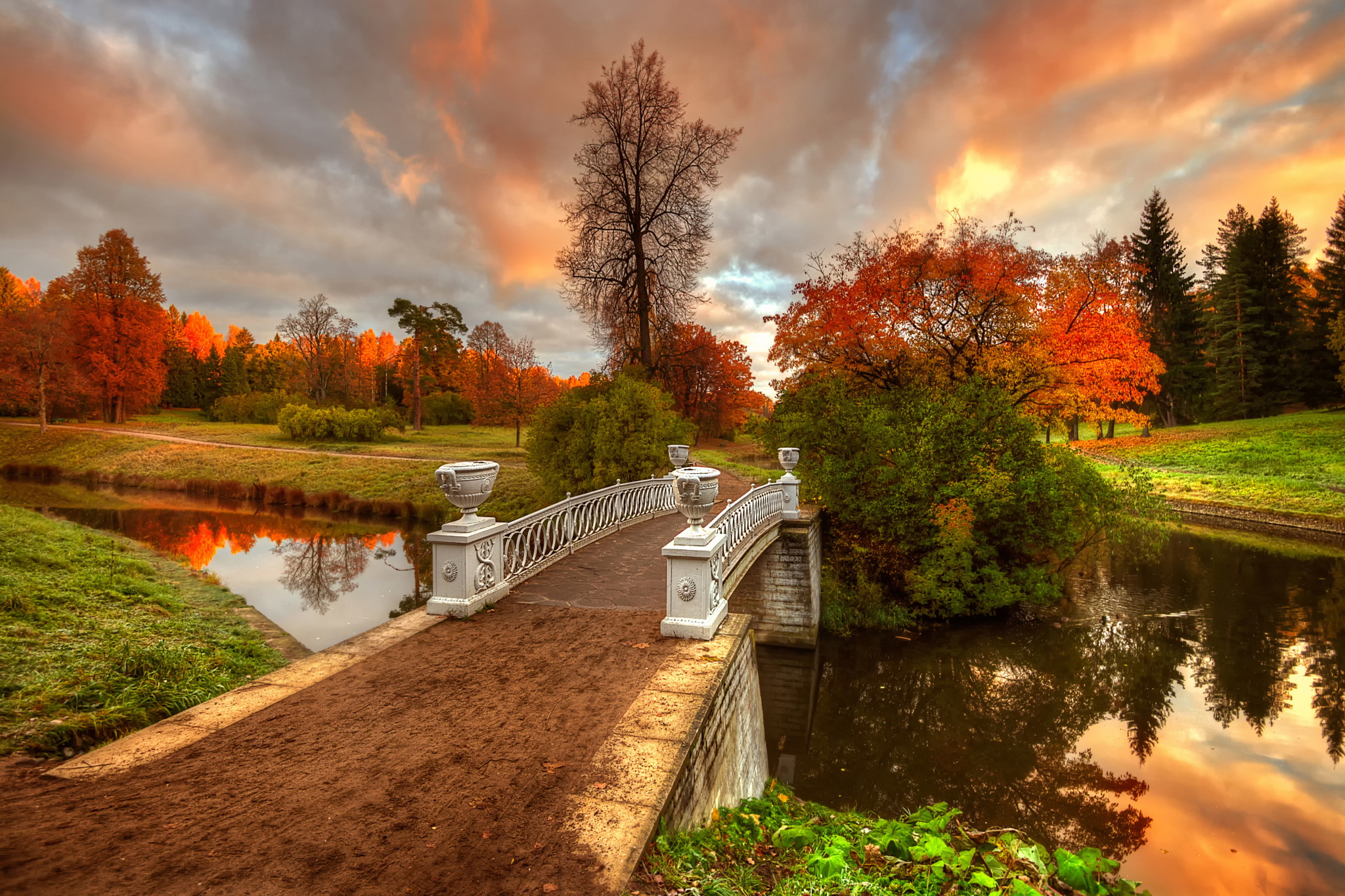 無料モバイル壁紙川, 橋, 木, 秋, 公園, 写真撮影をダウンロードします。
