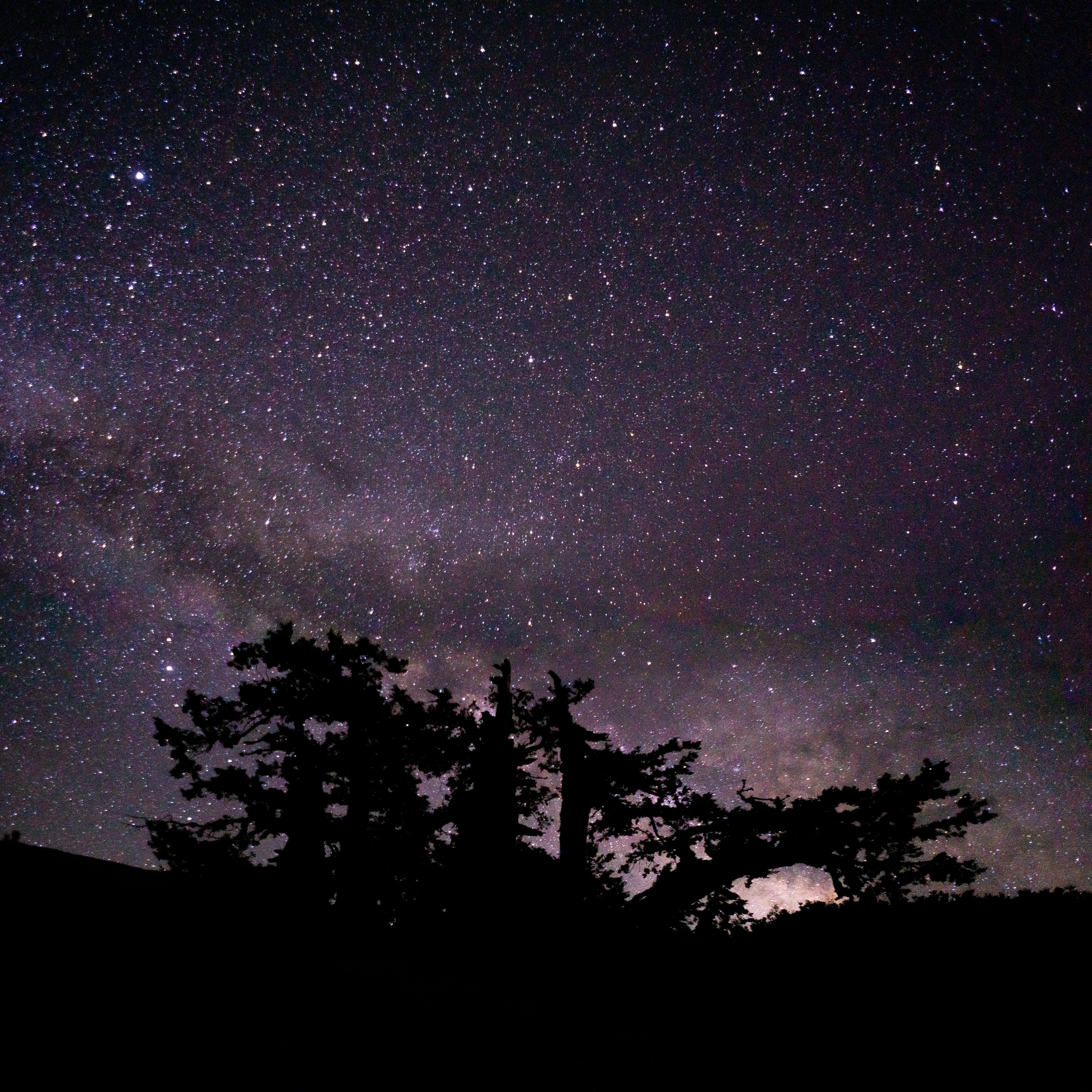 Free download wallpaper Trees, Stars, Starry Sky, Branches, Night, Dark on your PC desktop