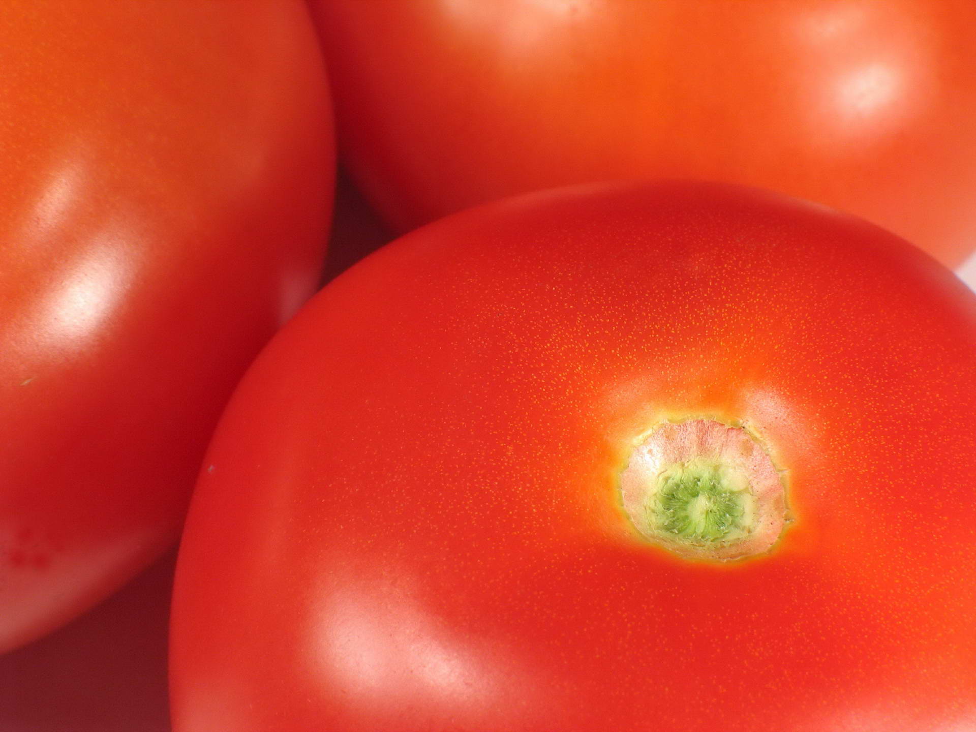 Téléchargez des papiers peints mobile Nourriture, Tomate, Des Fruits gratuitement.