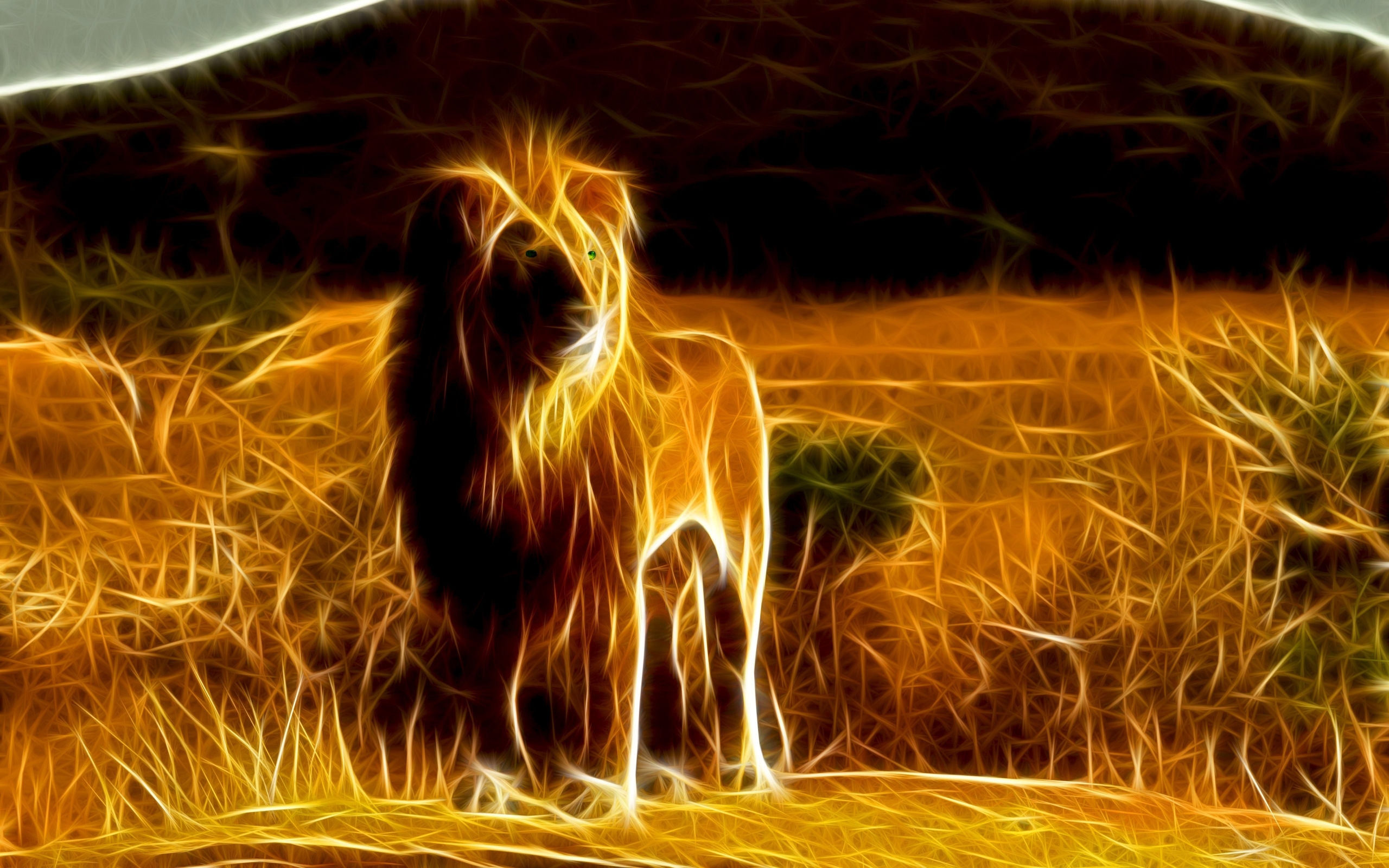 無料モバイル壁紙動物, ライオン, 写真をダウンロードします。