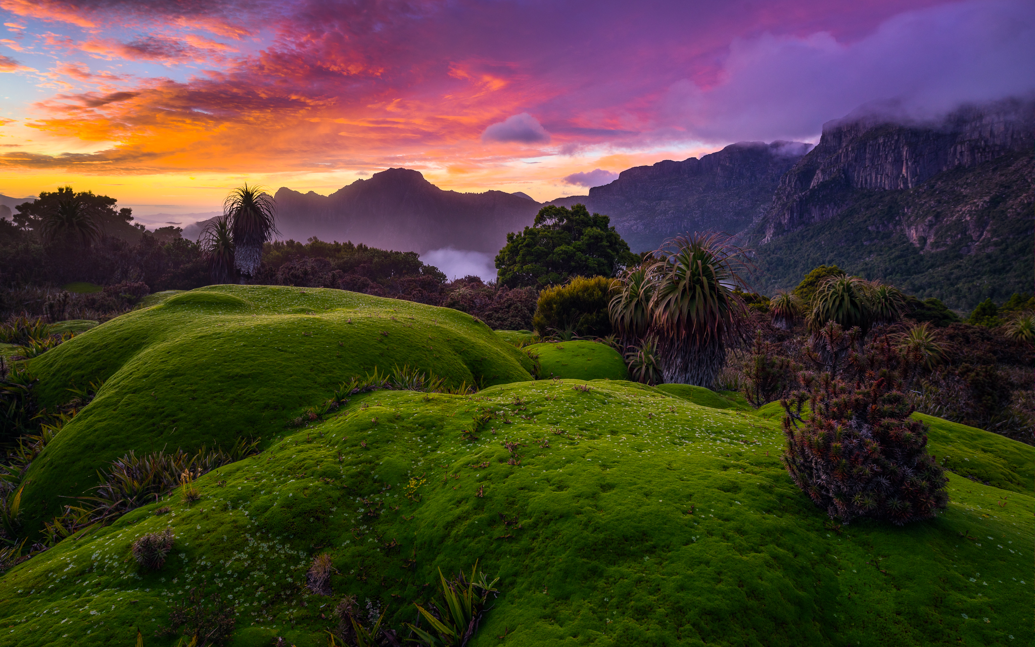 Téléchargez gratuitement l'image Paysage, Coucher De Soleil, Montagne, Arbre, Terre/nature sur le bureau de votre PC