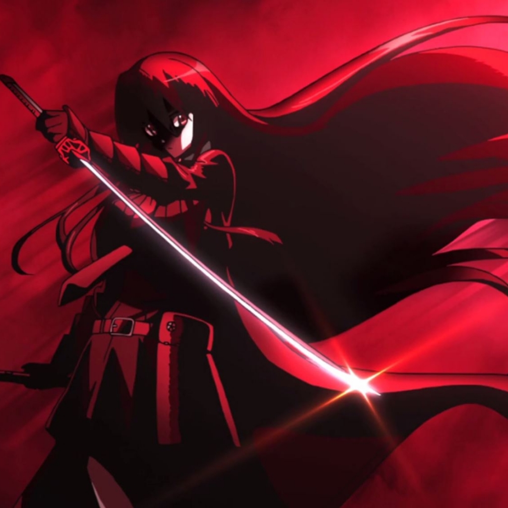 Laden Sie das Animes, Akame (Akame Ga Kill!), Akame Ga Kill: Schwerter Der Assassinen-Bild kostenlos auf Ihren PC-Desktop herunter