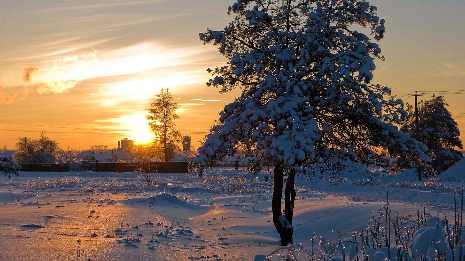 winter, nature, sunset, sun, snow, shine, light, wood, tree, brilliance, present, nast