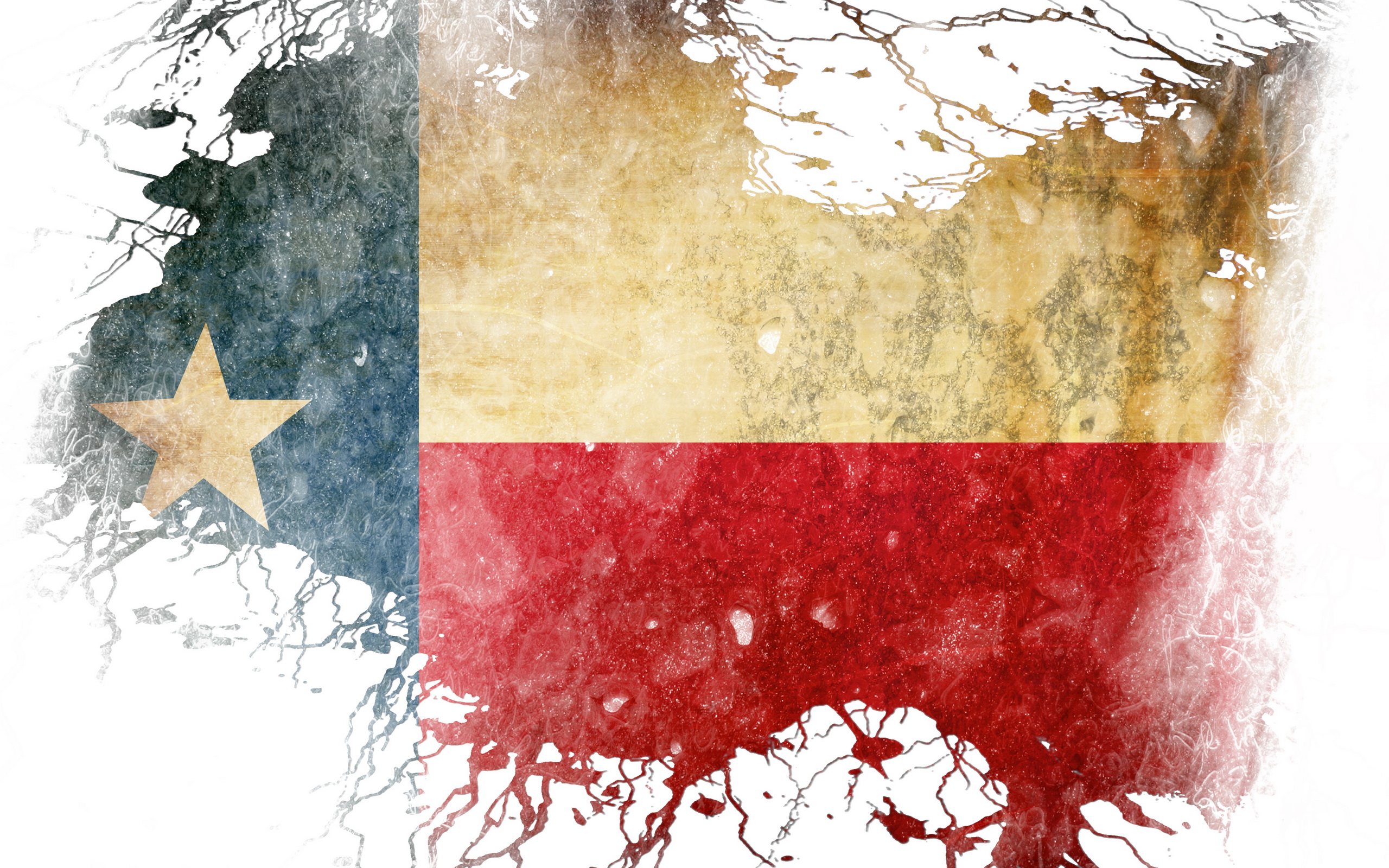 Melhores papéis de parede de Bandeira Do Texas para tela do telefone