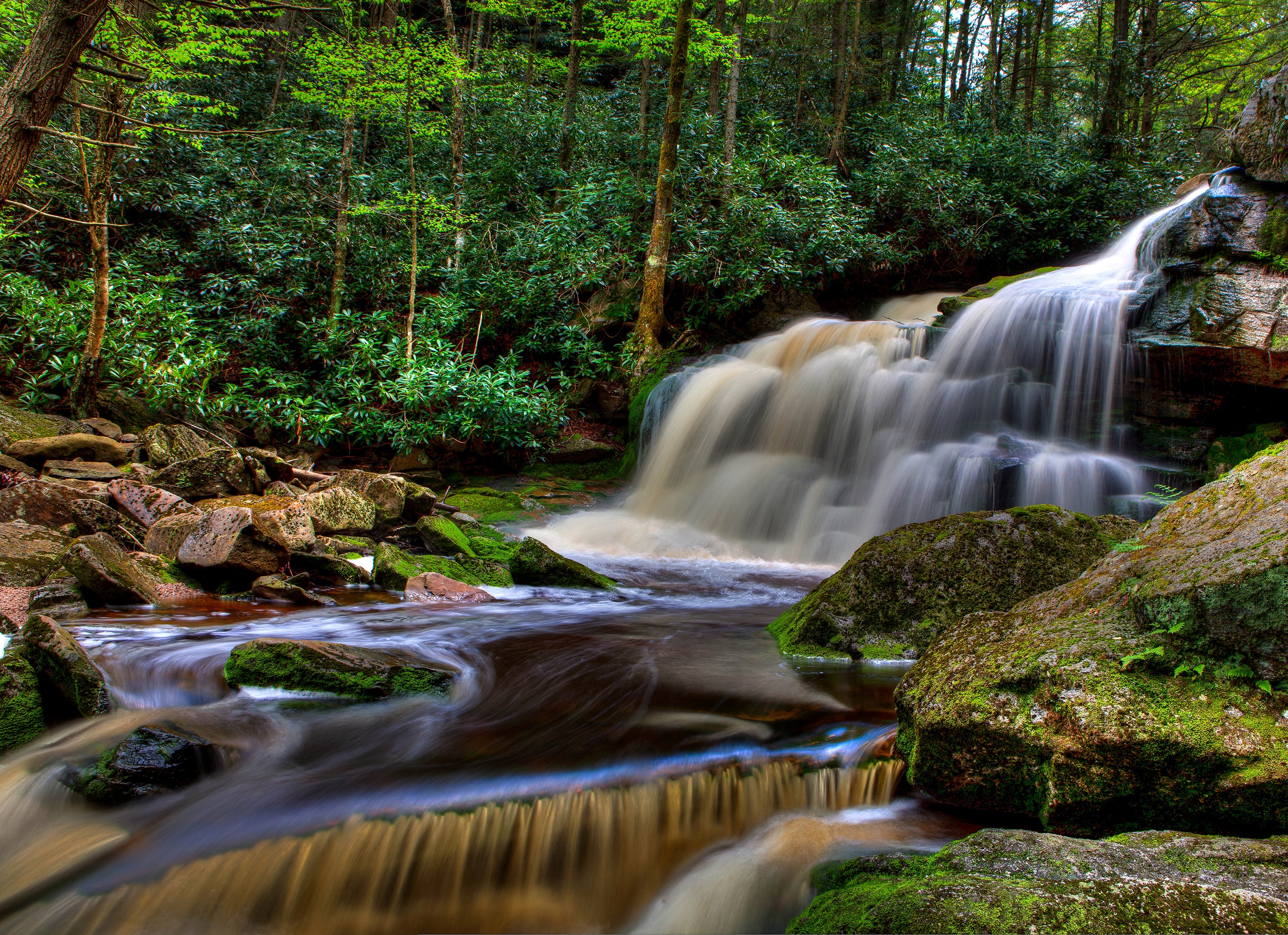 Download mobile wallpaper Nature, Waterfalls, Waterfall, Forest, Earth, Foam for free.