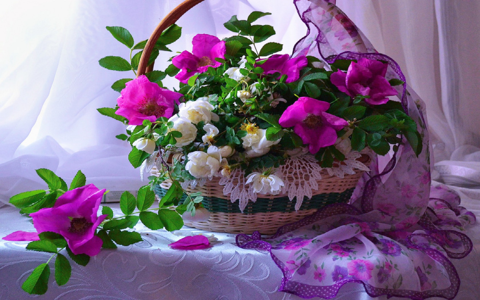 Laden Sie das Blume, Korb, Vorhang, Fotografie, Schal, Pinke Blume, Stillleben-Bild kostenlos auf Ihren PC-Desktop herunter