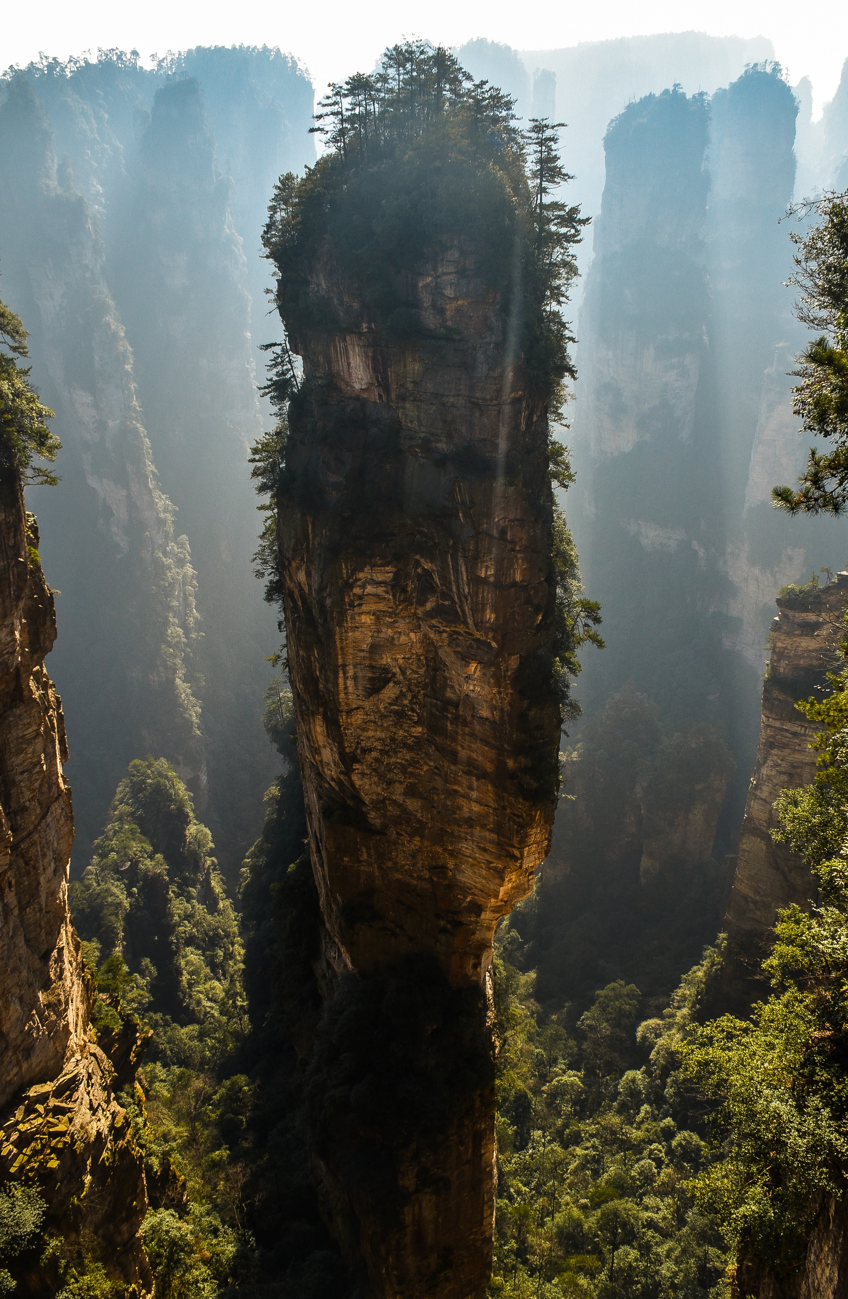 77801 скачать картинку чжанцзяцзе, китай, гора аватар, туман, природа, скала, гора - обои и заставки бесплатно