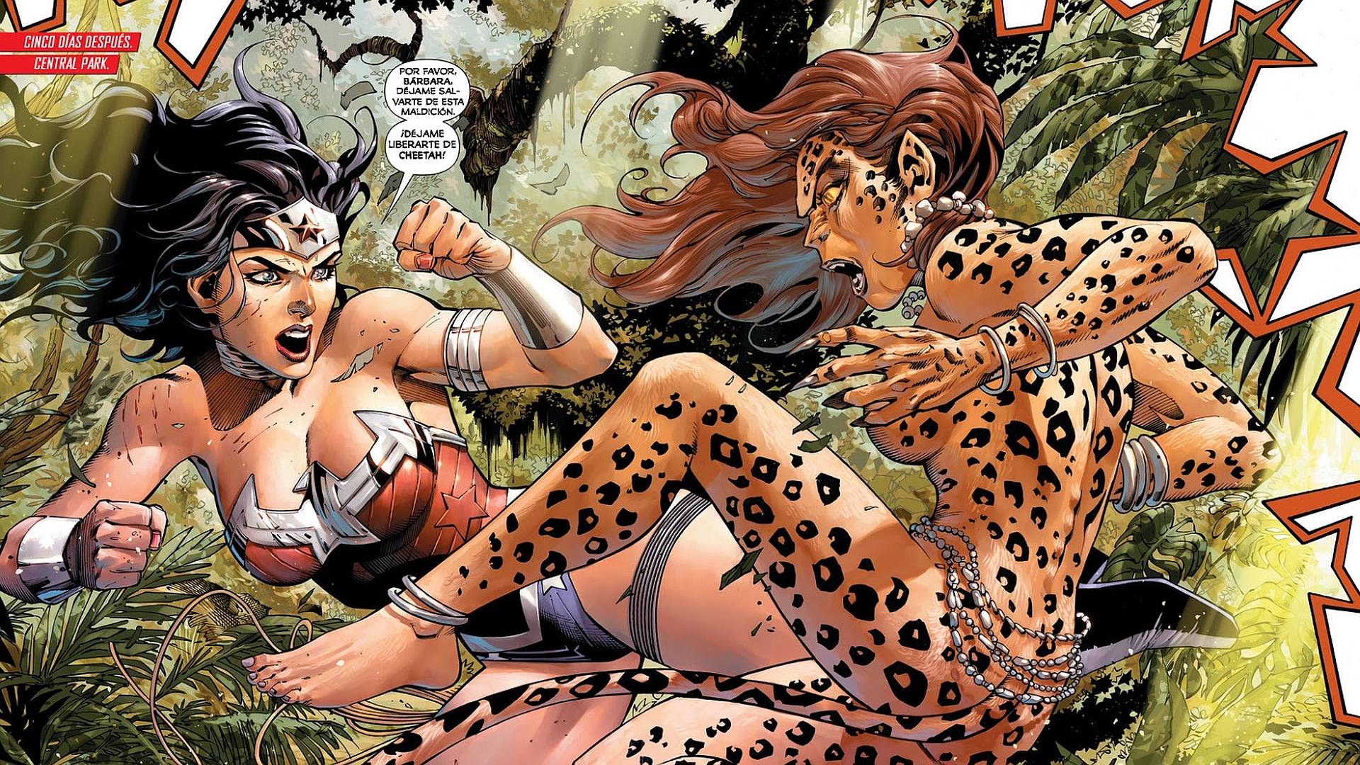 comics, justice league of america, cheetah (dc comics), wonder woman, justice league