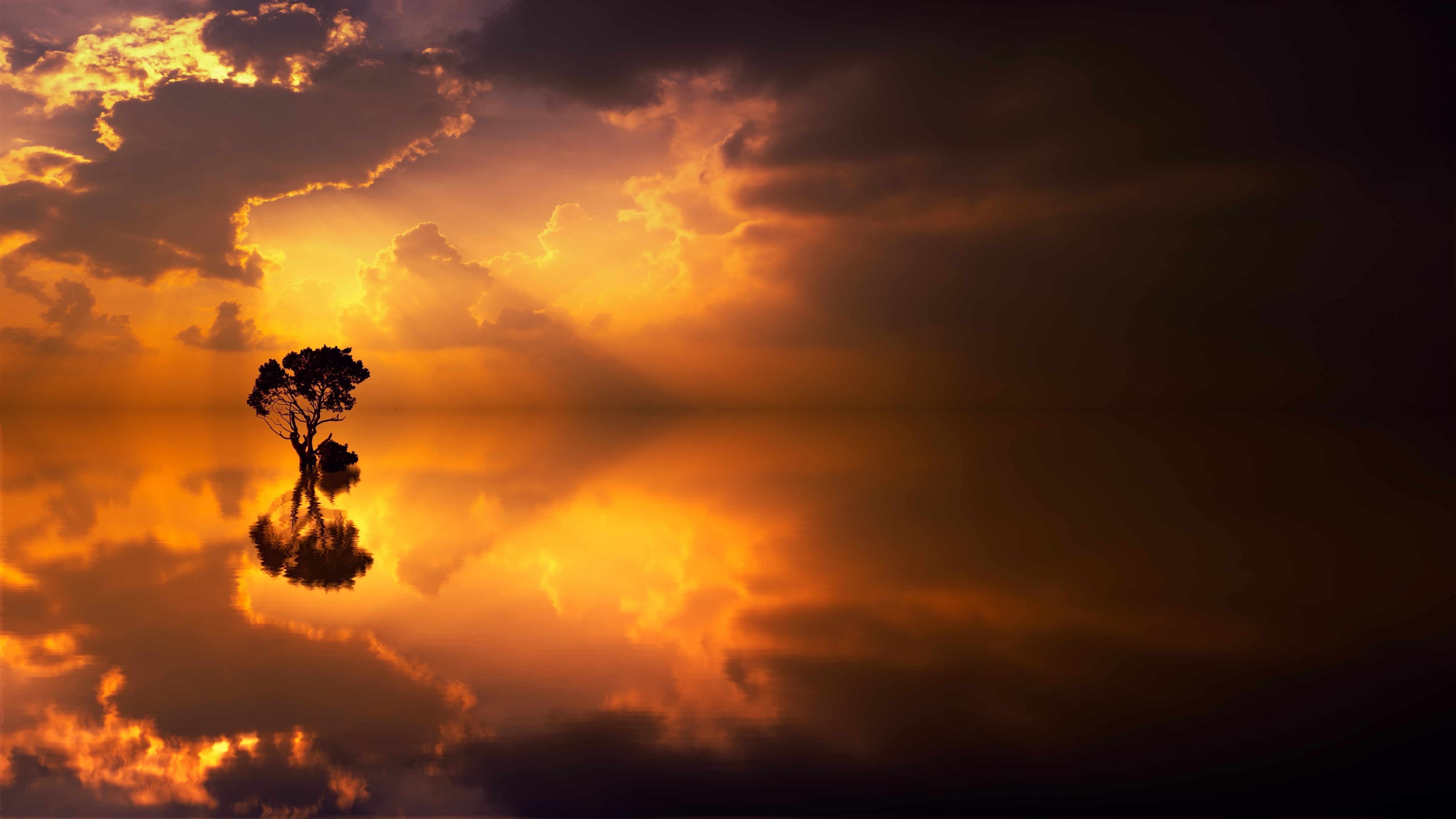 Download mobile wallpaper Sunset, Lake, Reflection, Tree, Earth, Cloud for free.