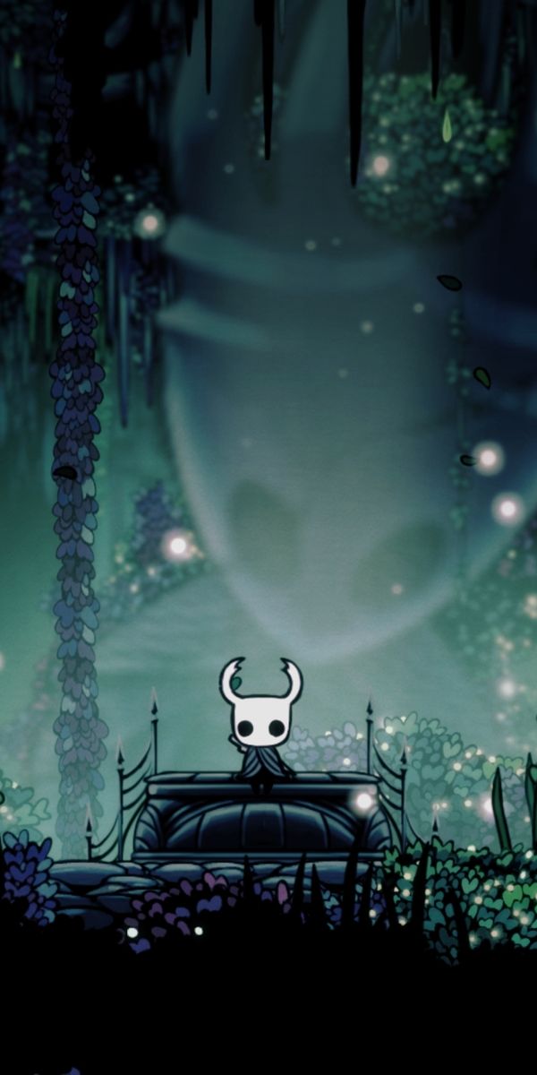 Fondo de pantalla para celular de Hollow Knight, Videojuego, 1293202.