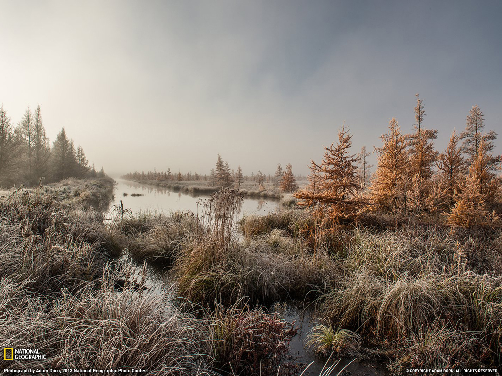 Handy-Wallpaper Winter, Erde/natur kostenlos herunterladen.