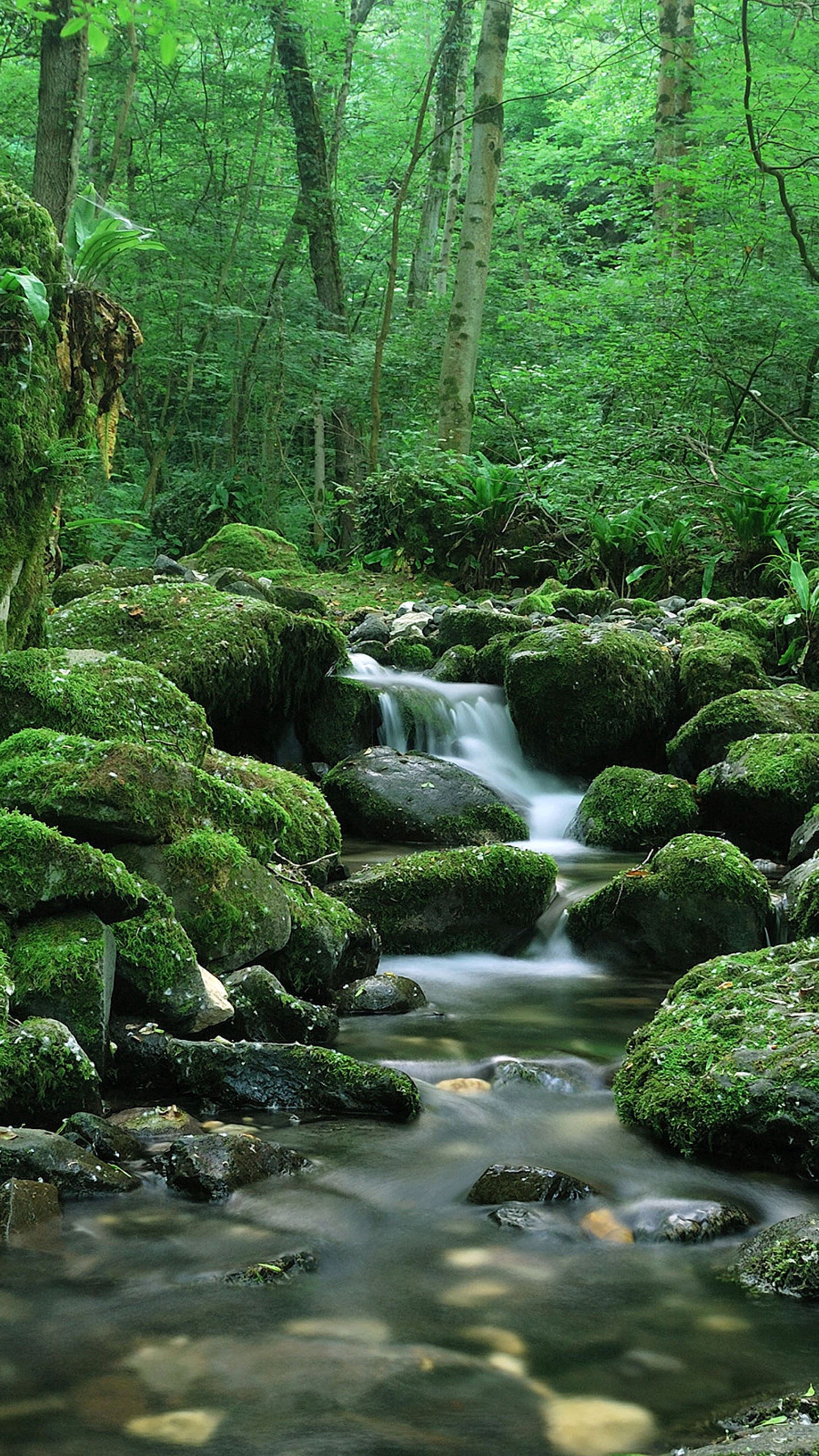 flow, nature, stones, waterfall, moss HD wallpaper