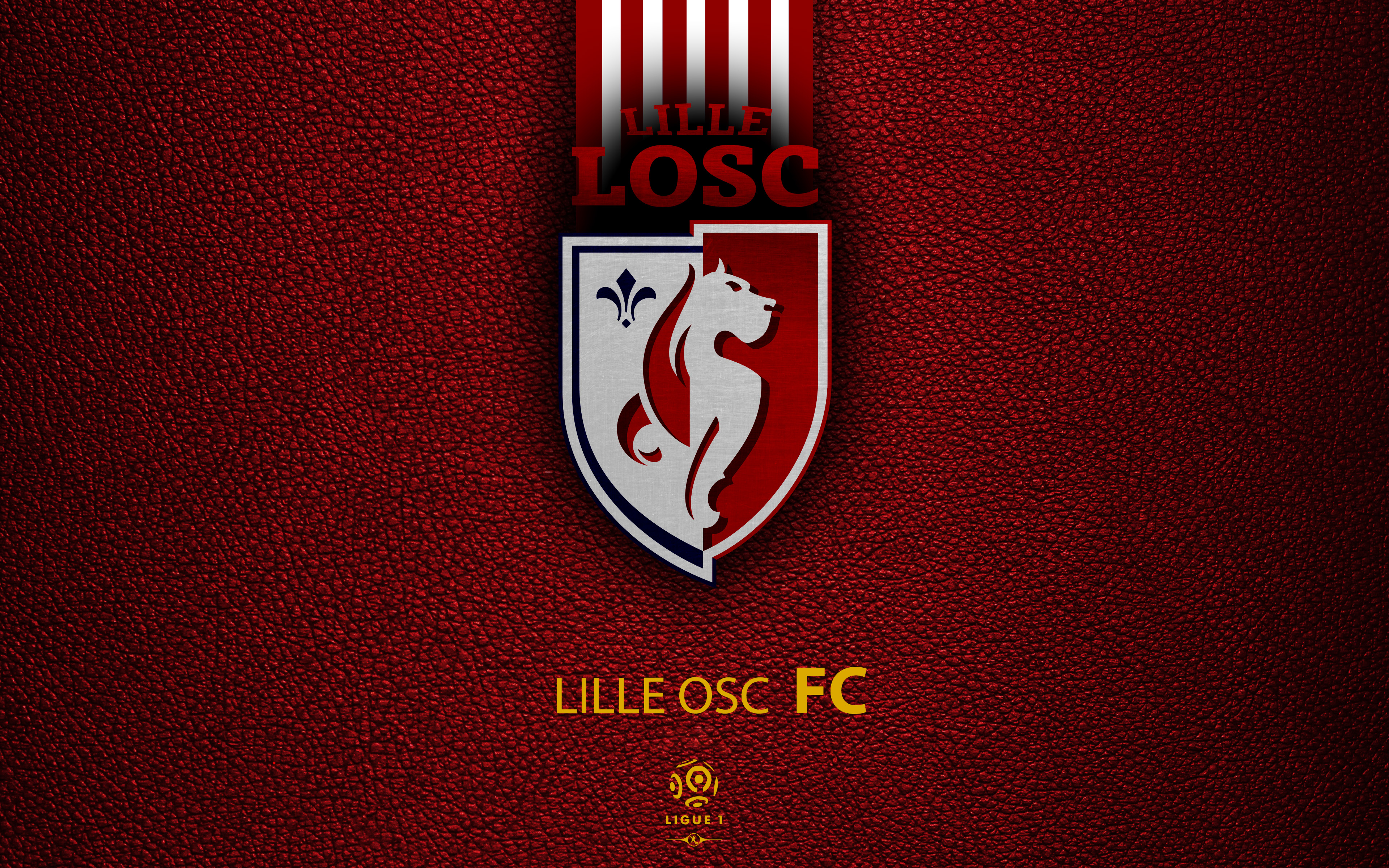 Téléchargez des papiers peints mobile Logo, Des Sports, Emblème, Football, Lille Osc gratuitement.