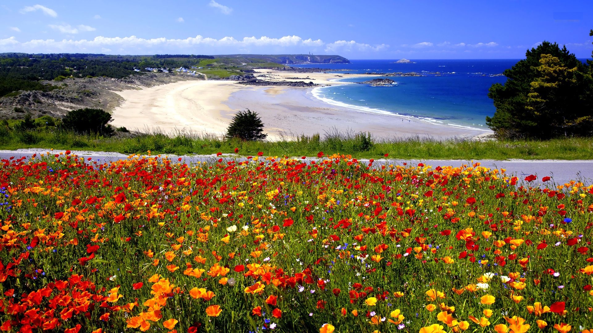 Descarga gratis la imagen Playa, Tierra/naturaleza en el escritorio de tu PC