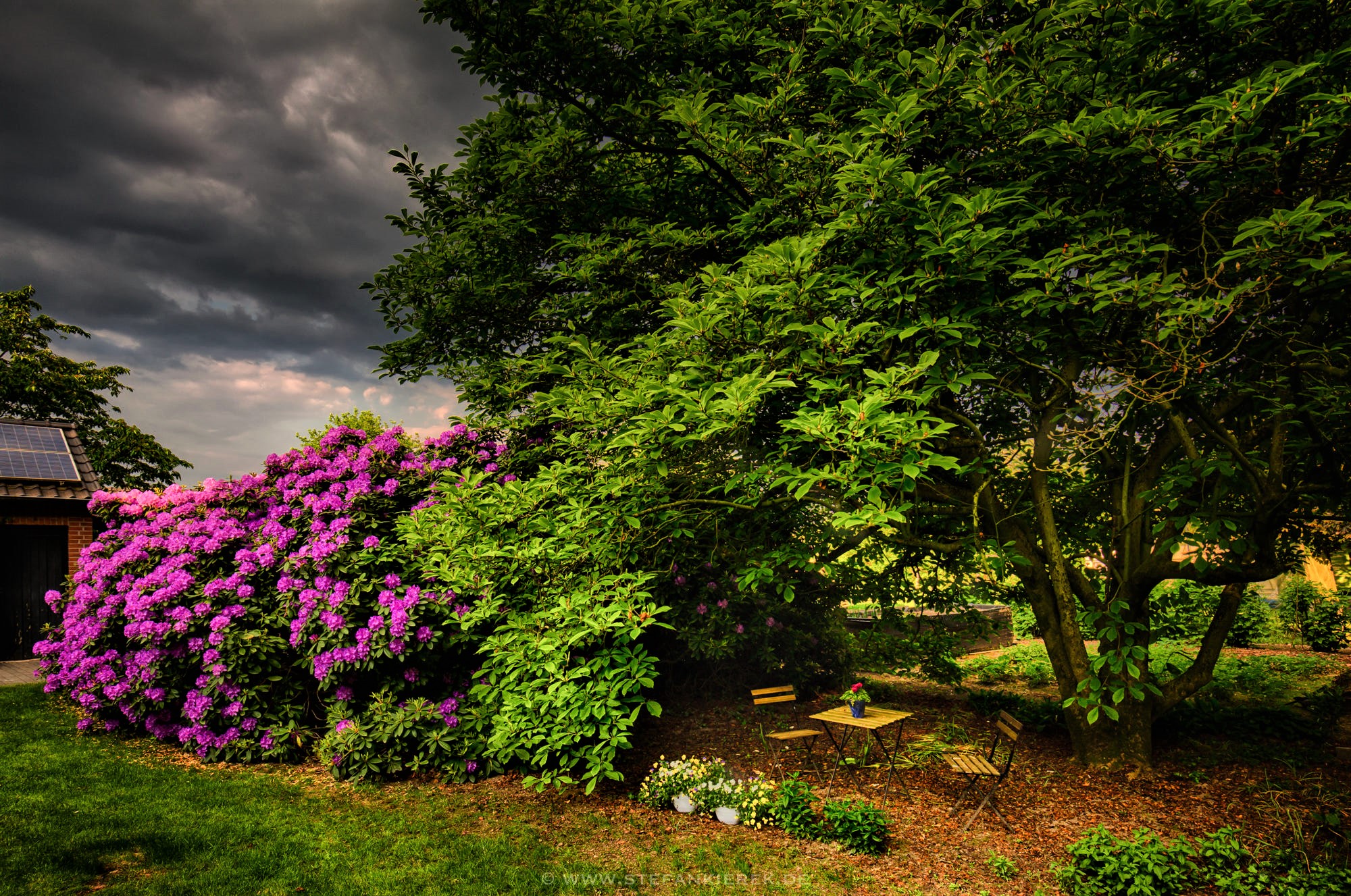 Free download wallpaper Tree, Earth, Garden, Cloud, Azalea, Purple Flower, Man Made on your PC desktop