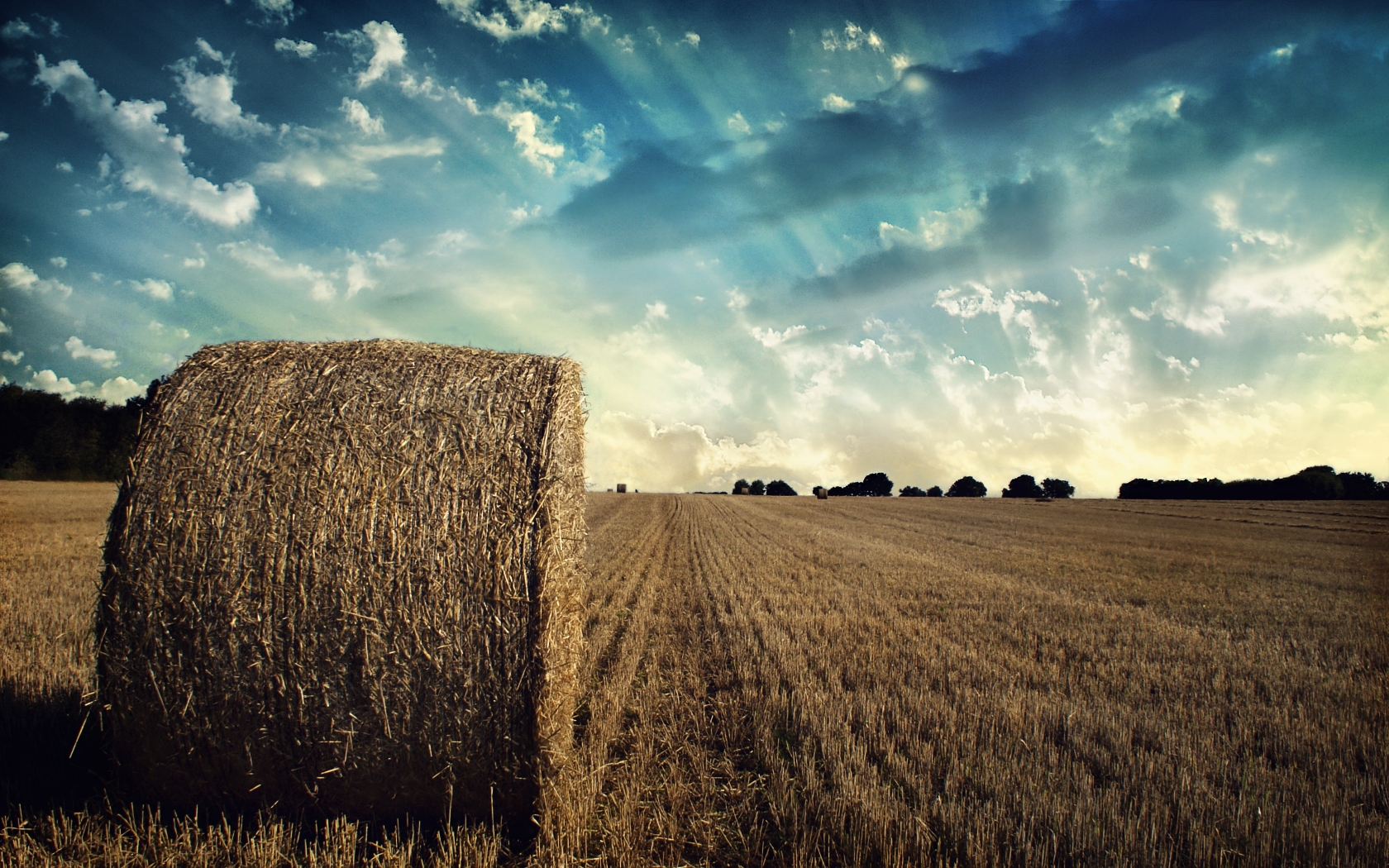 Download mobile wallpaper Earth, Field for free.