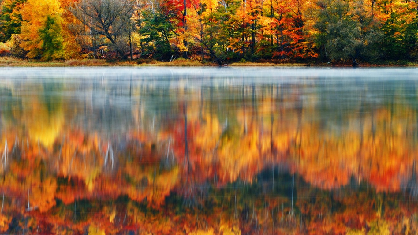PCデスクトップに川, 秋, 葉, 反射, 地球, シーズン画像を無料でダウンロード