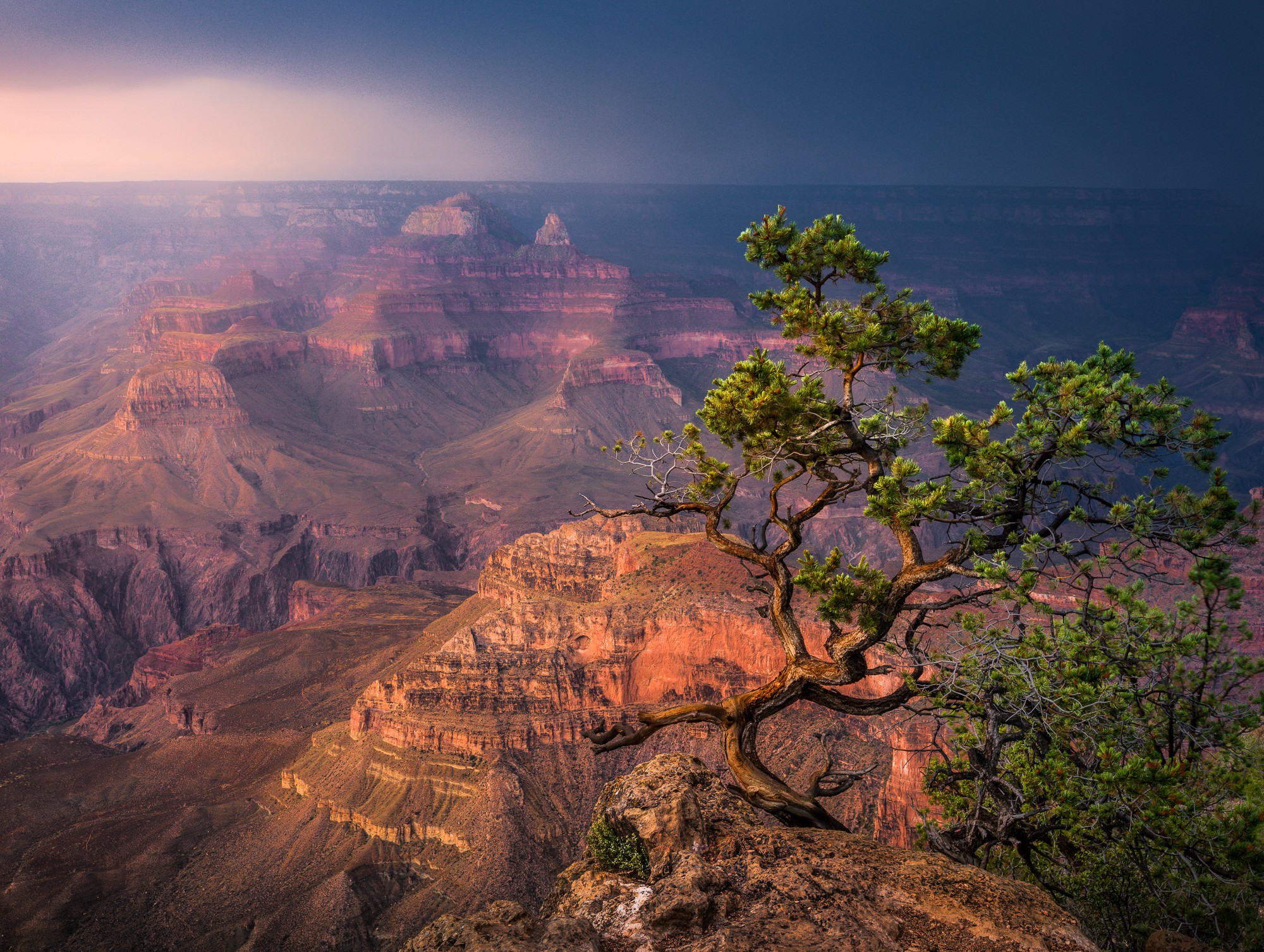 Laden Sie das Landschaft, Natur, Baum, Steppe, Arizona, Erde/natur-Bild kostenlos auf Ihren PC-Desktop herunter