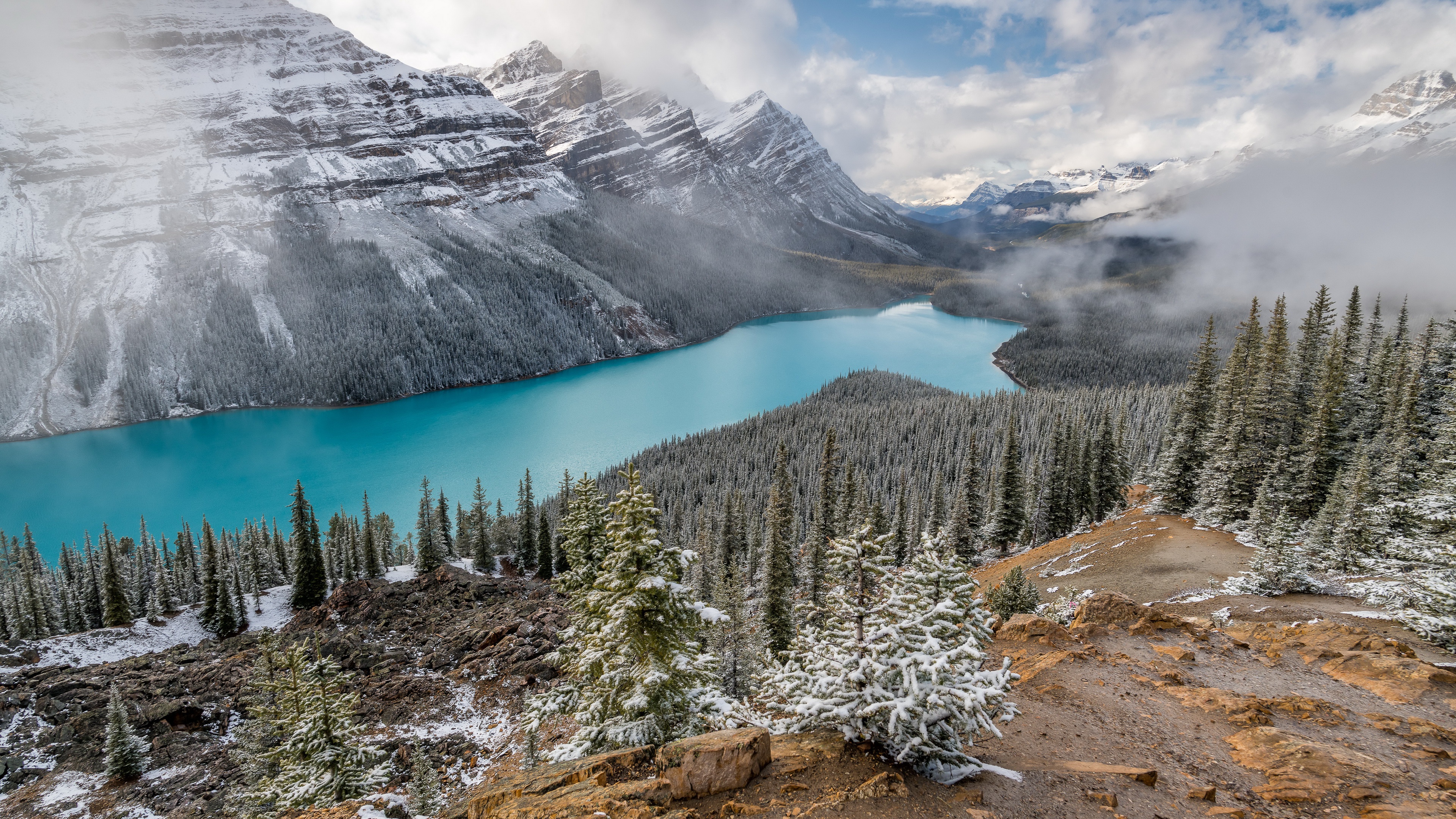 PCデスクトップに自然, 雪, モミの木, 湖, 山, 地球, ペイト湖画像を無料でダウンロード