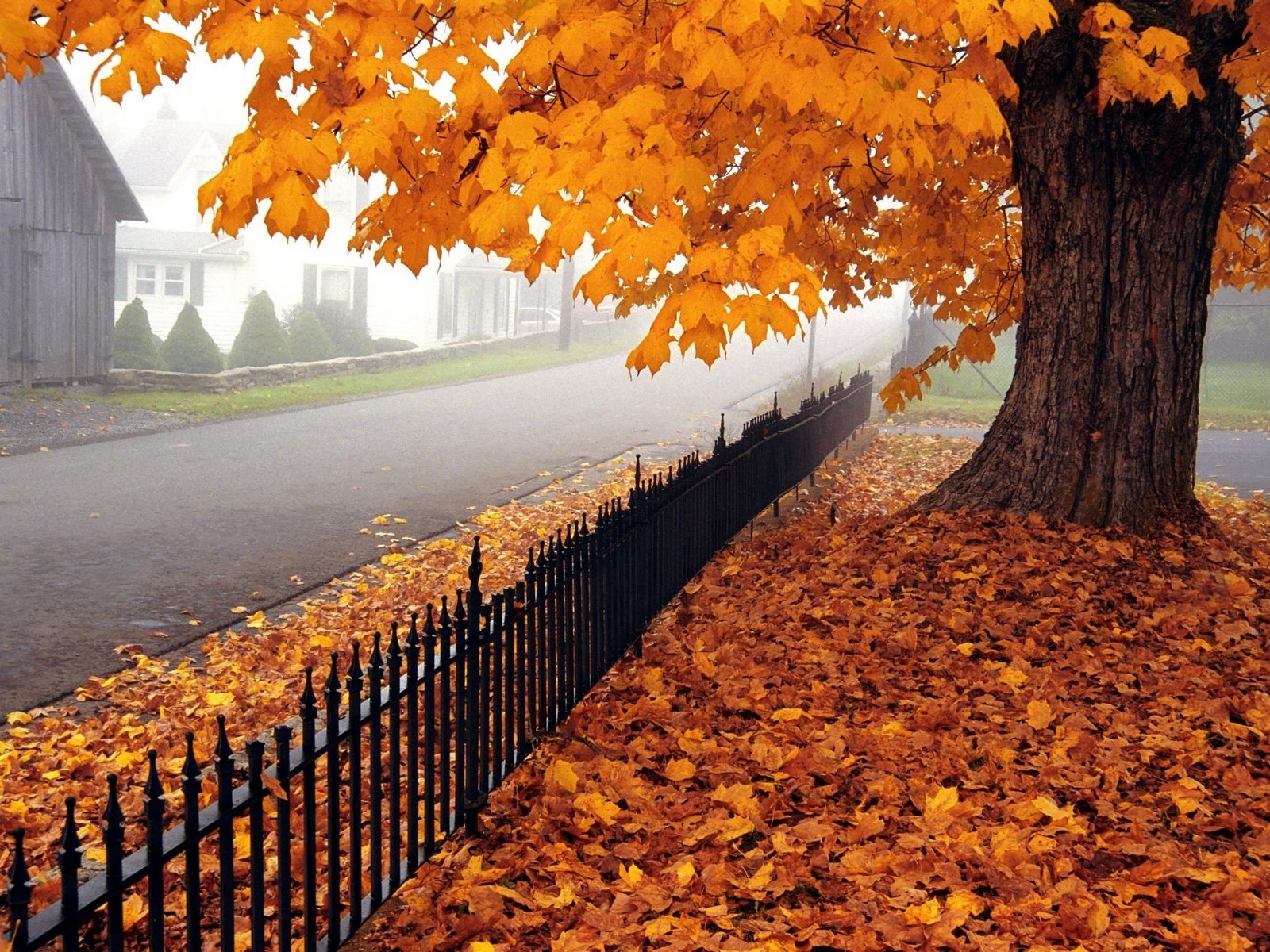 Download mobile wallpaper Fall, Photography for free.
