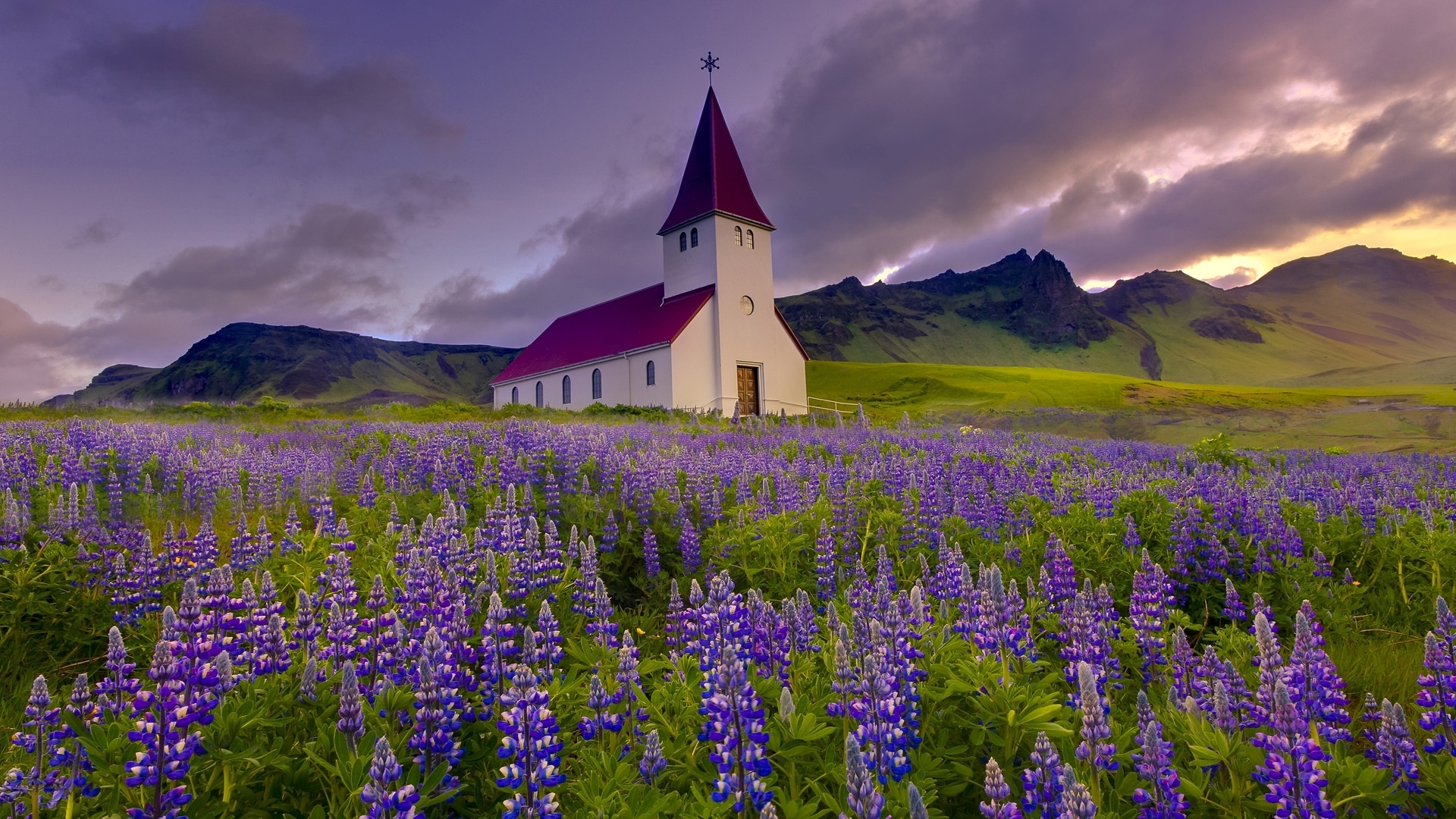 1499701 descargar fondo de pantalla religioso, iglesia, campo, lupino, flor purpura: protectores de pantalla e imágenes gratis